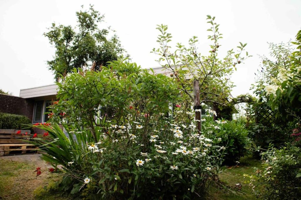 Photo 37