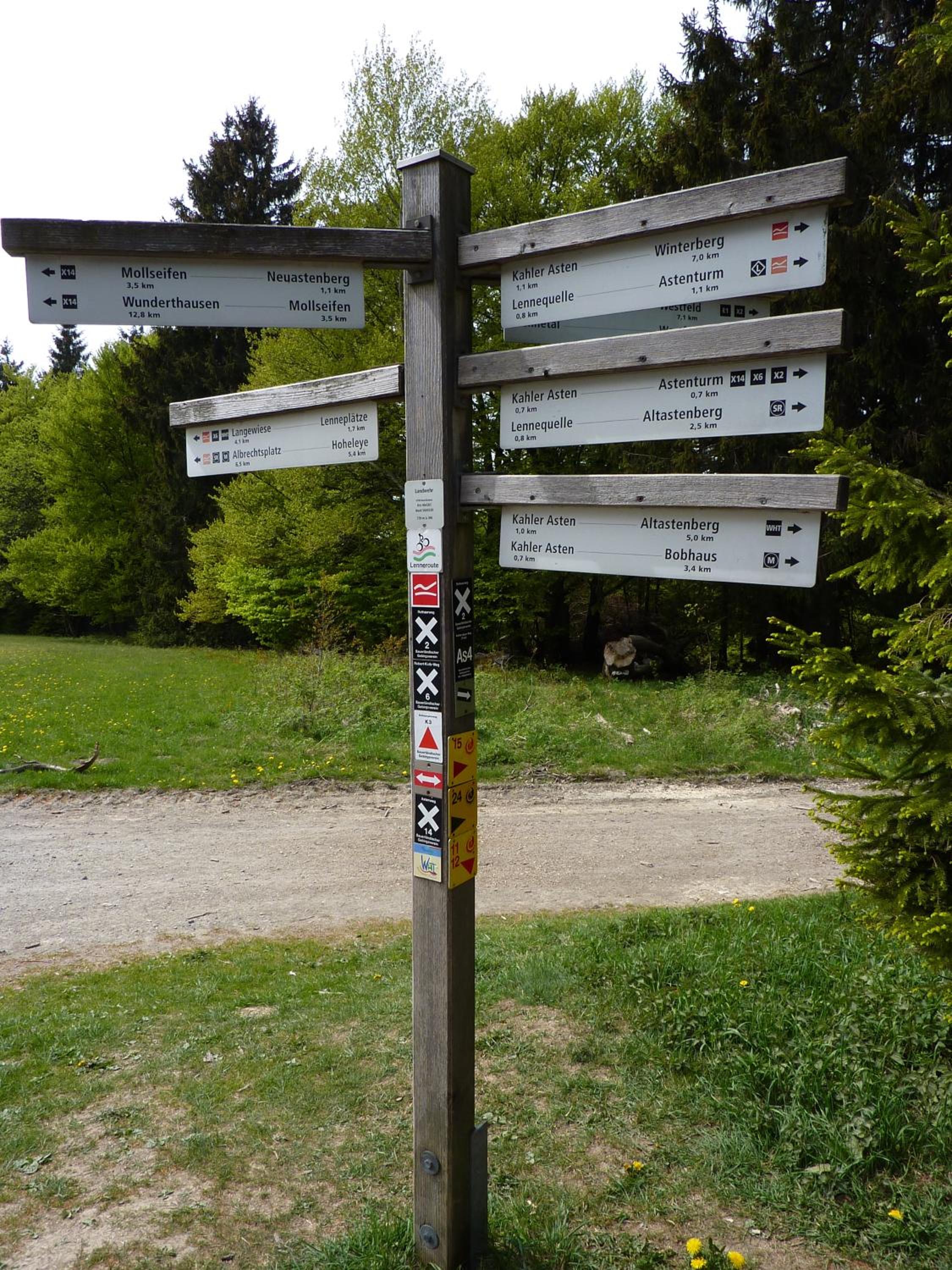 Photo 12