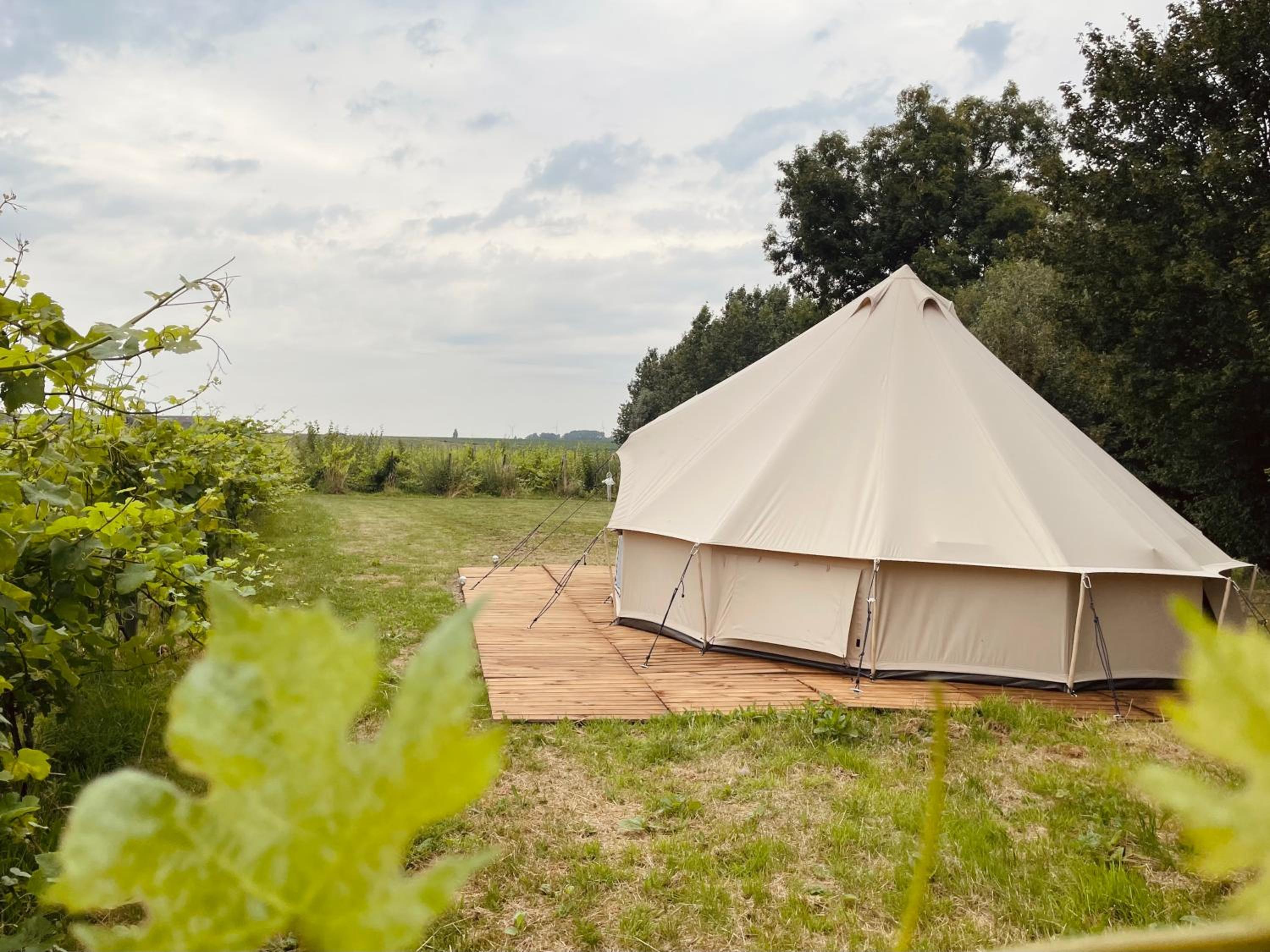 B&B 't Zwaluwnest