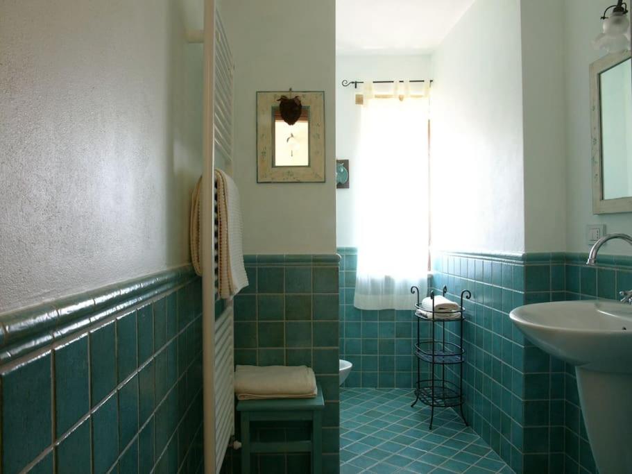 Photo 24