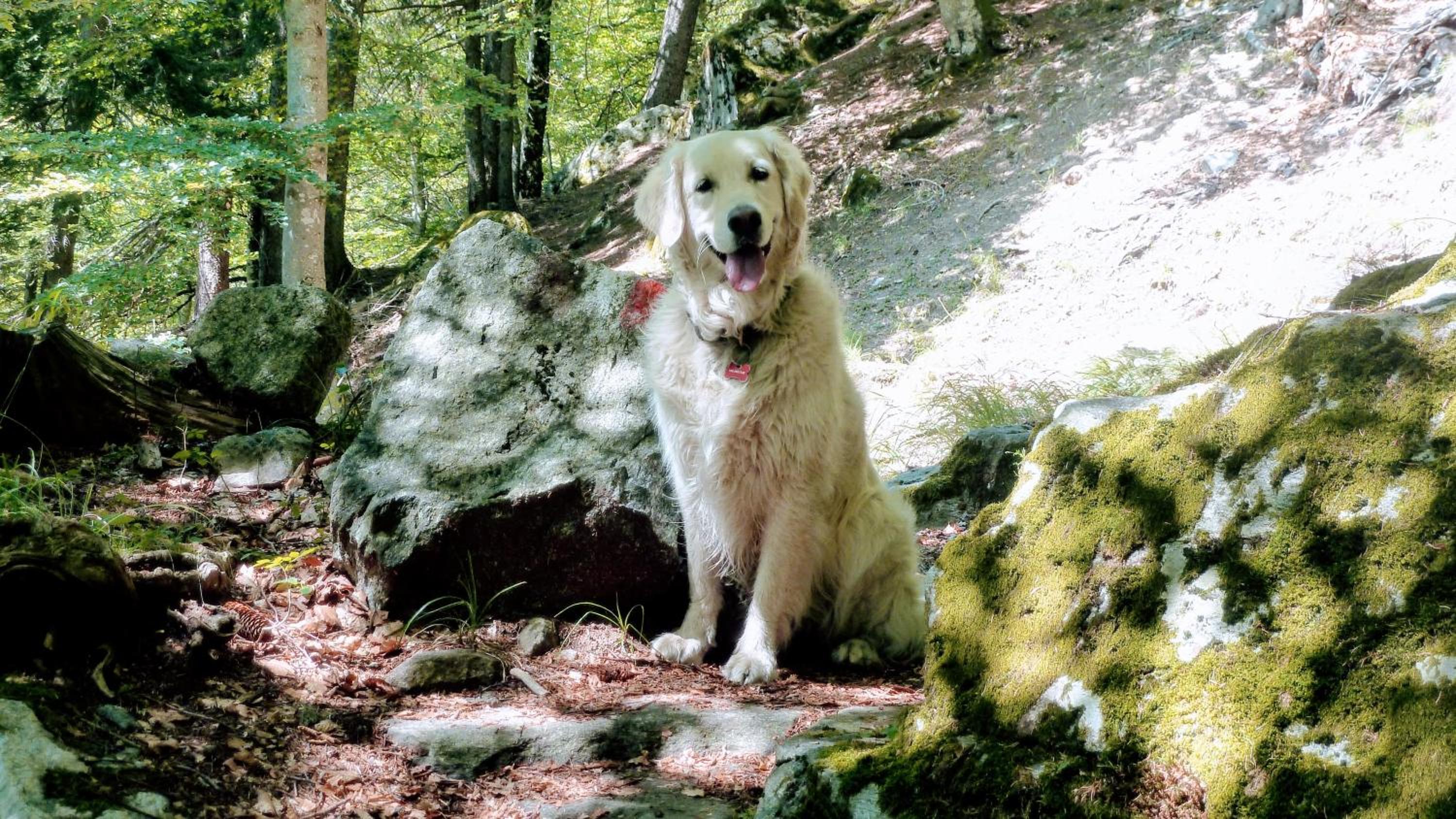 Giuditta FreeCarPark&Garden