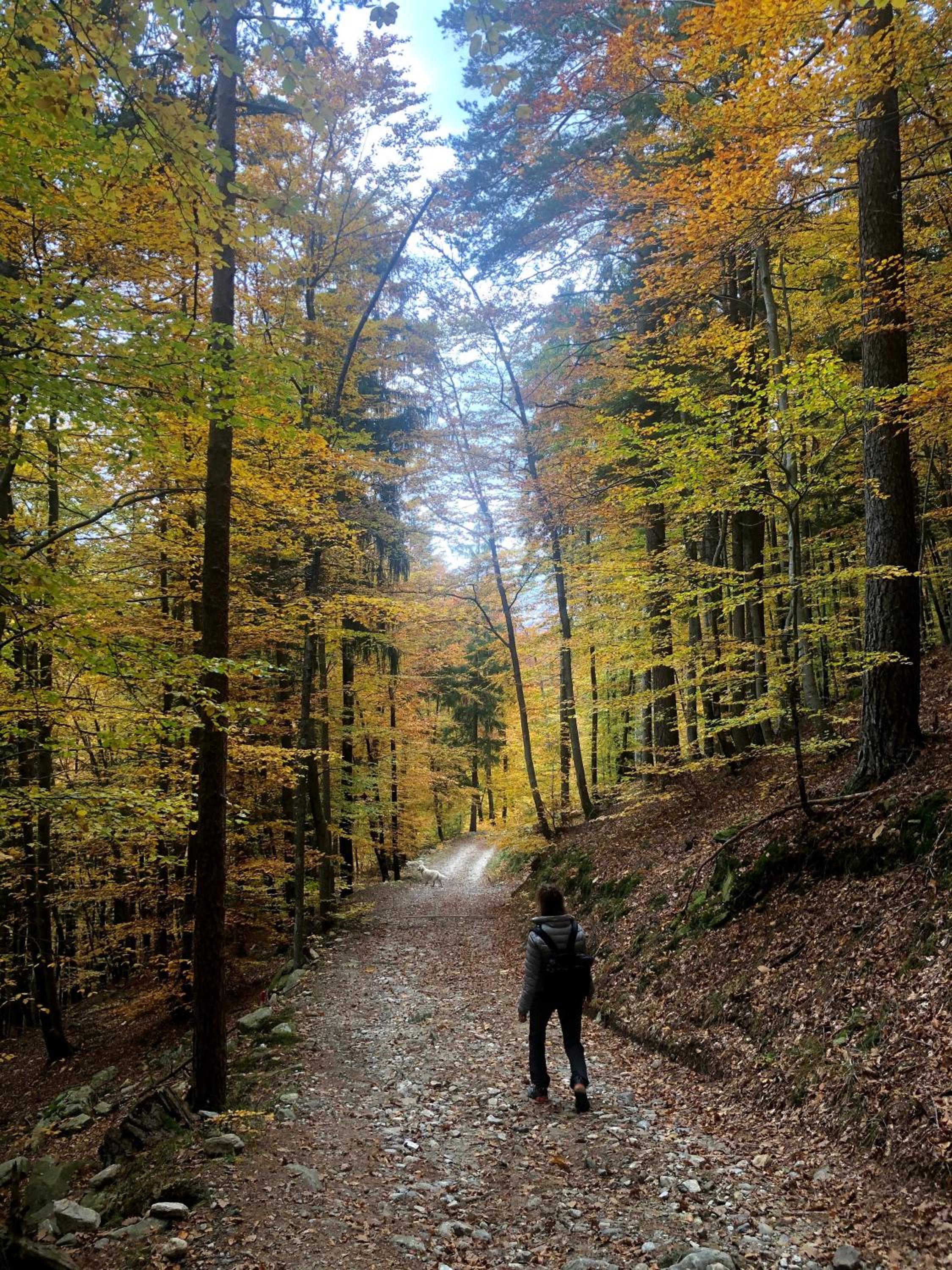 Giuditta FreeCarPark&Garden