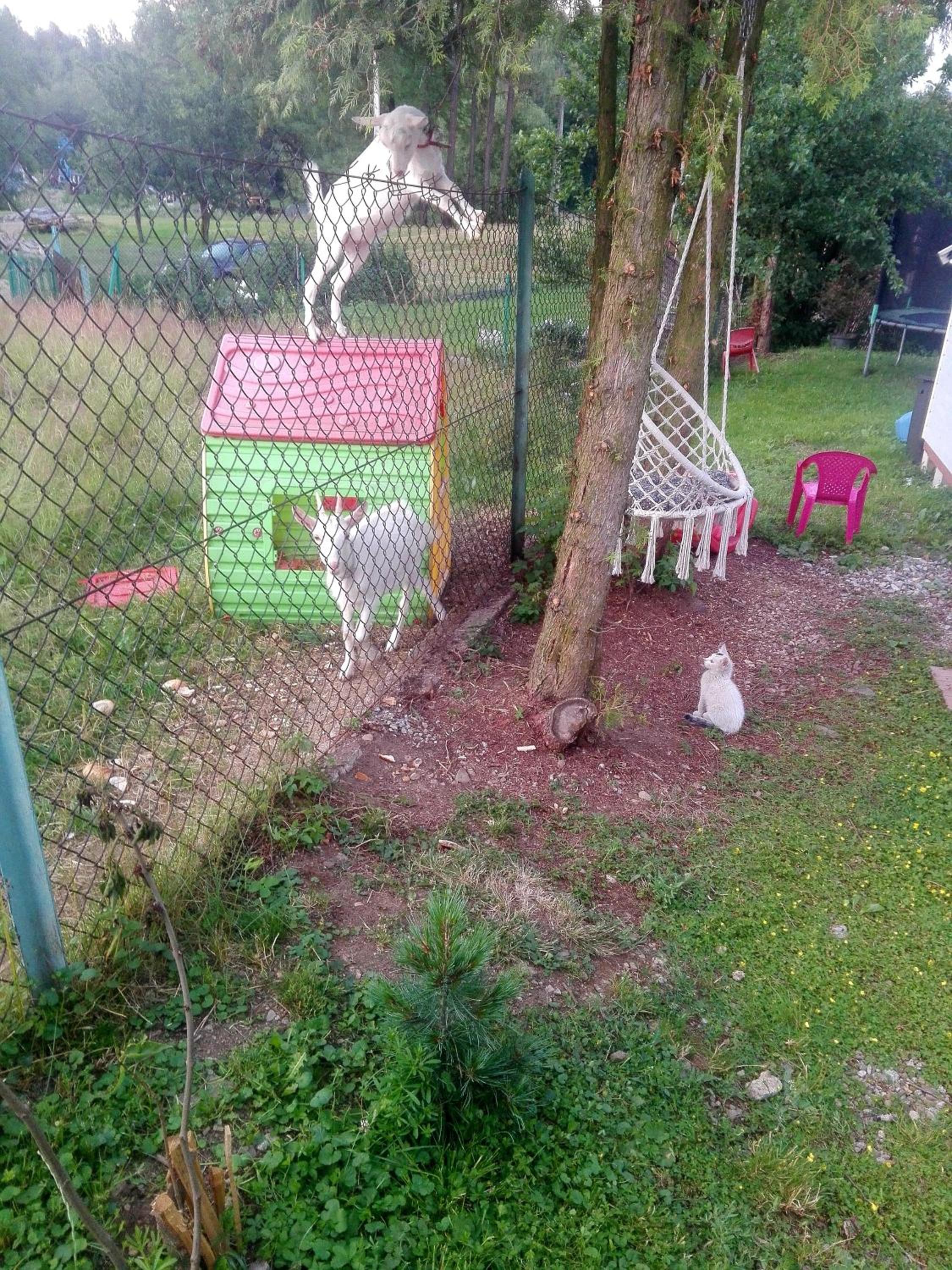 Photo 47