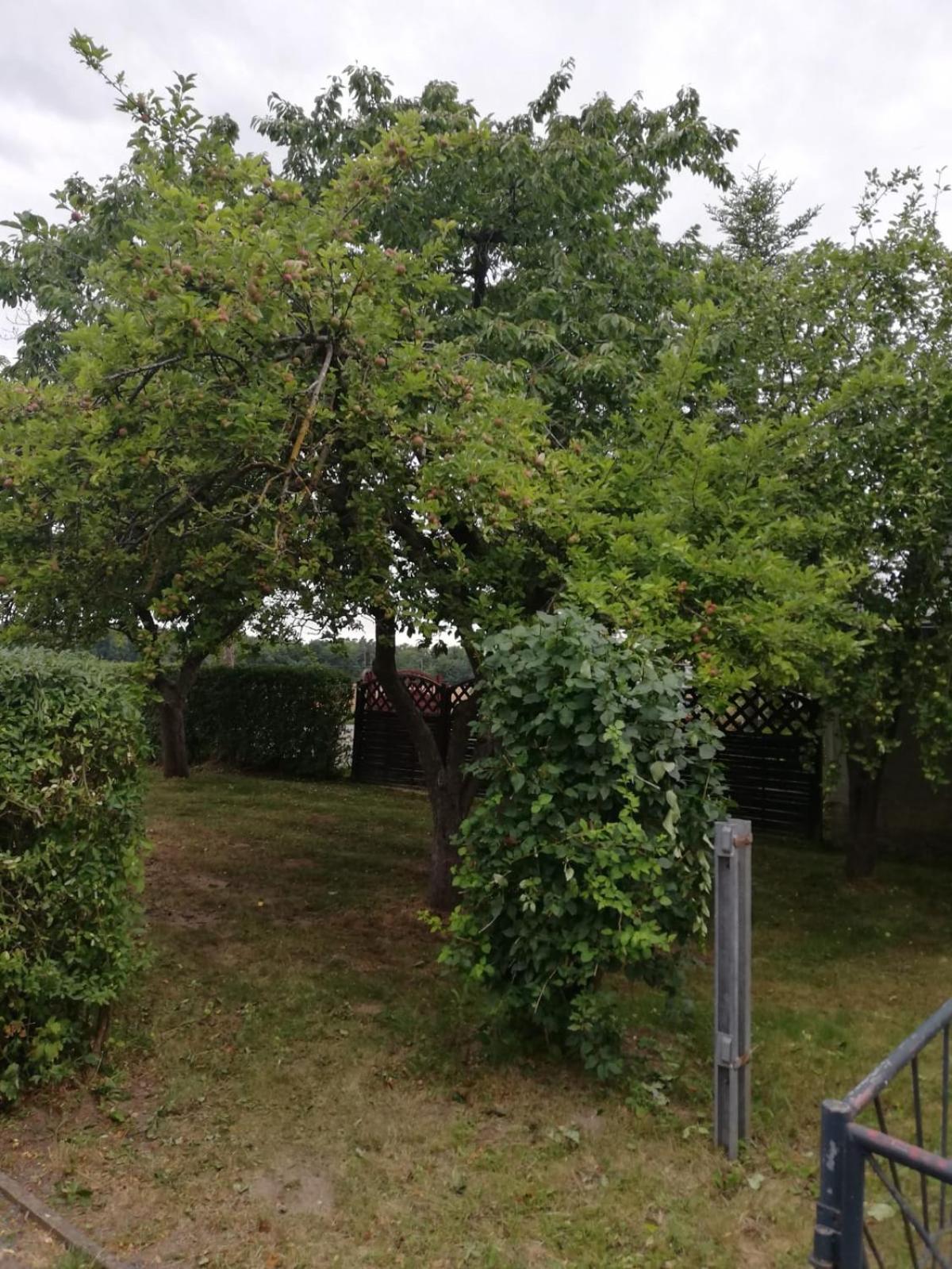 Ferienwohnung zum kleinen Obstgarten