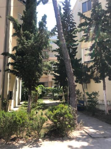 Lili's House Golem, Durres