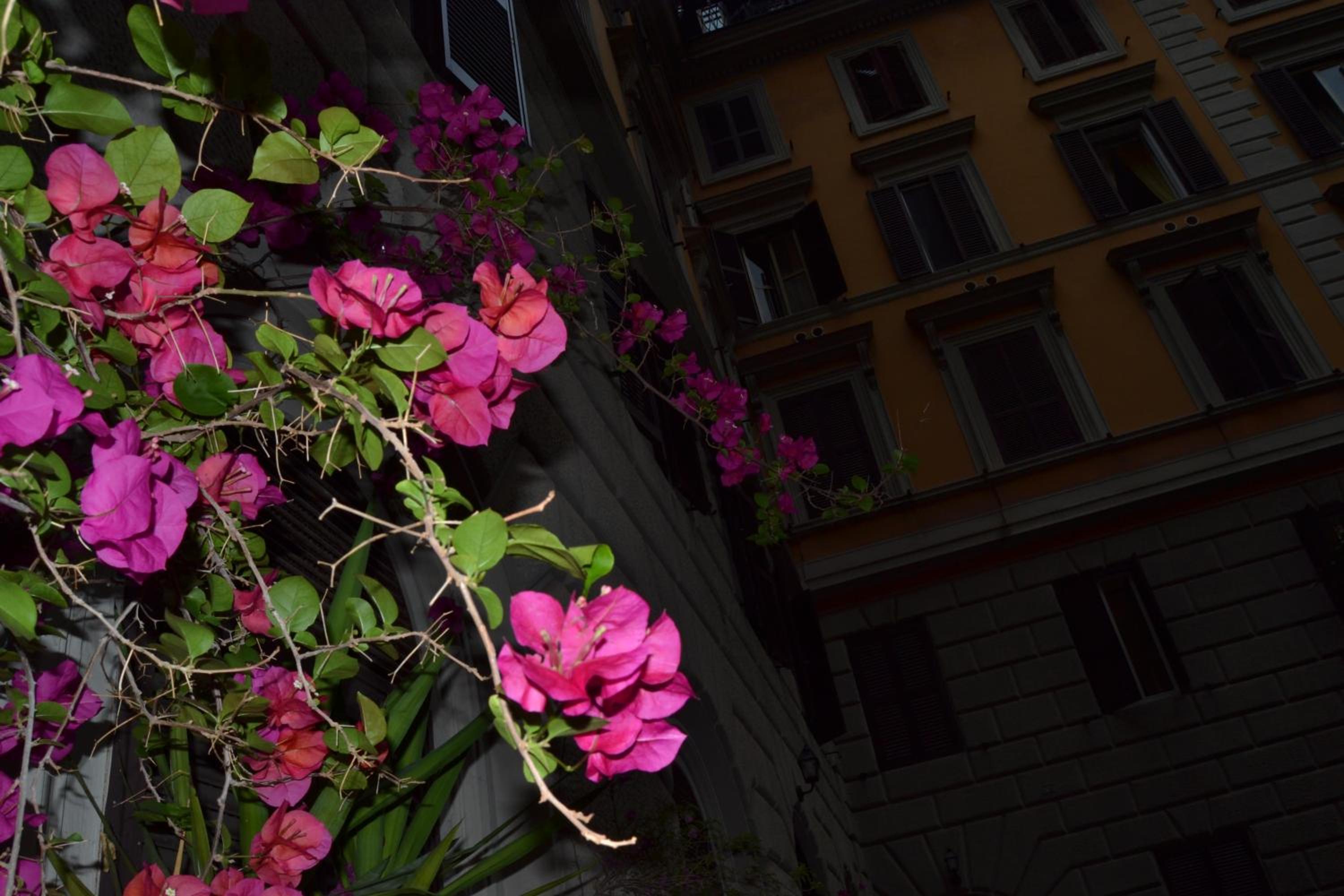 Bye Rome Guesthouse