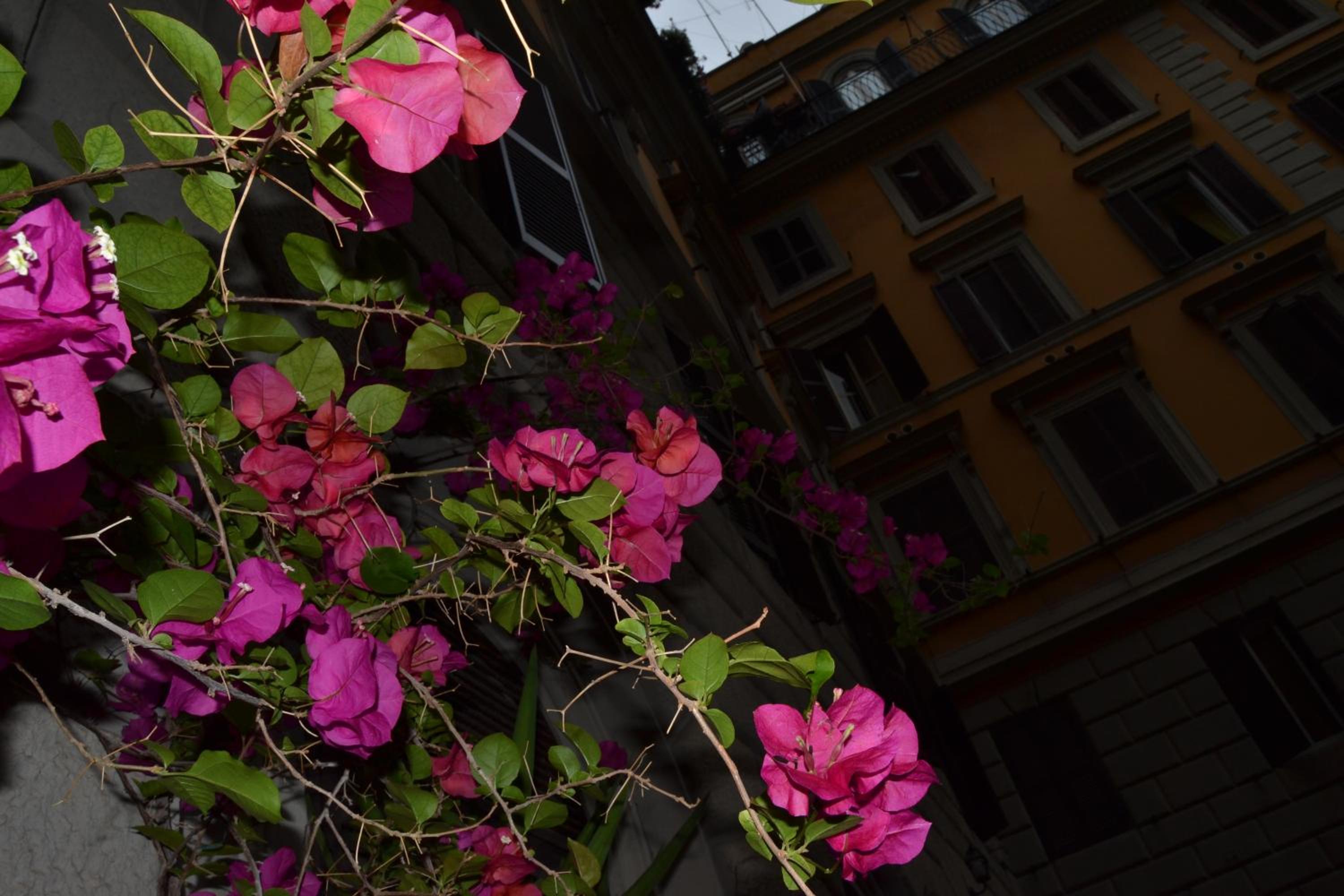 Bye Rome Guesthouse