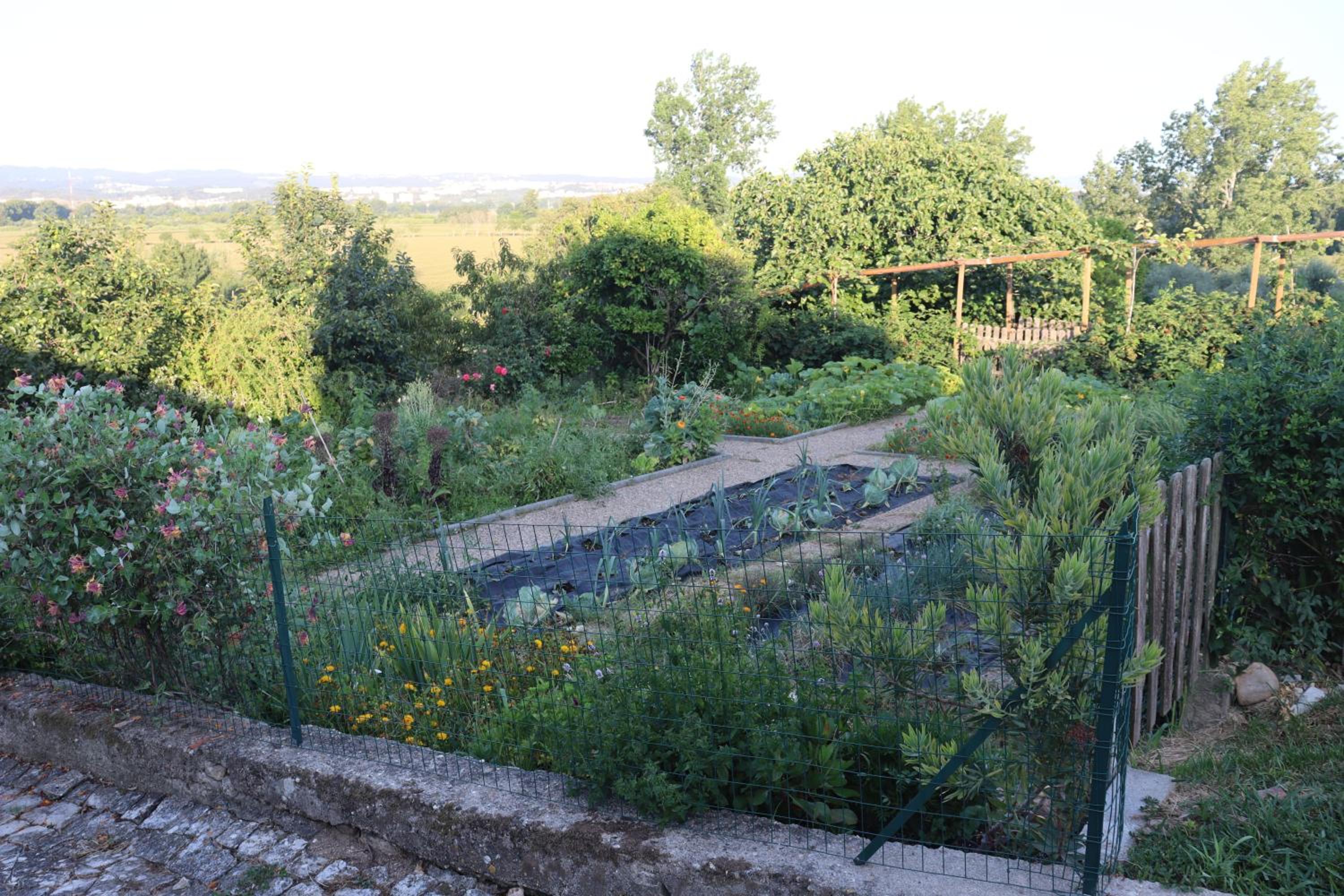Photo 49
