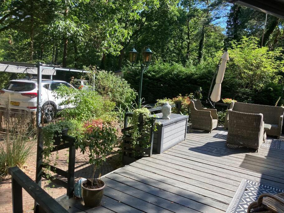 Sfeervol chalet in het bos