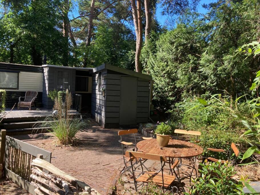 Sfeervol chalet in het bos