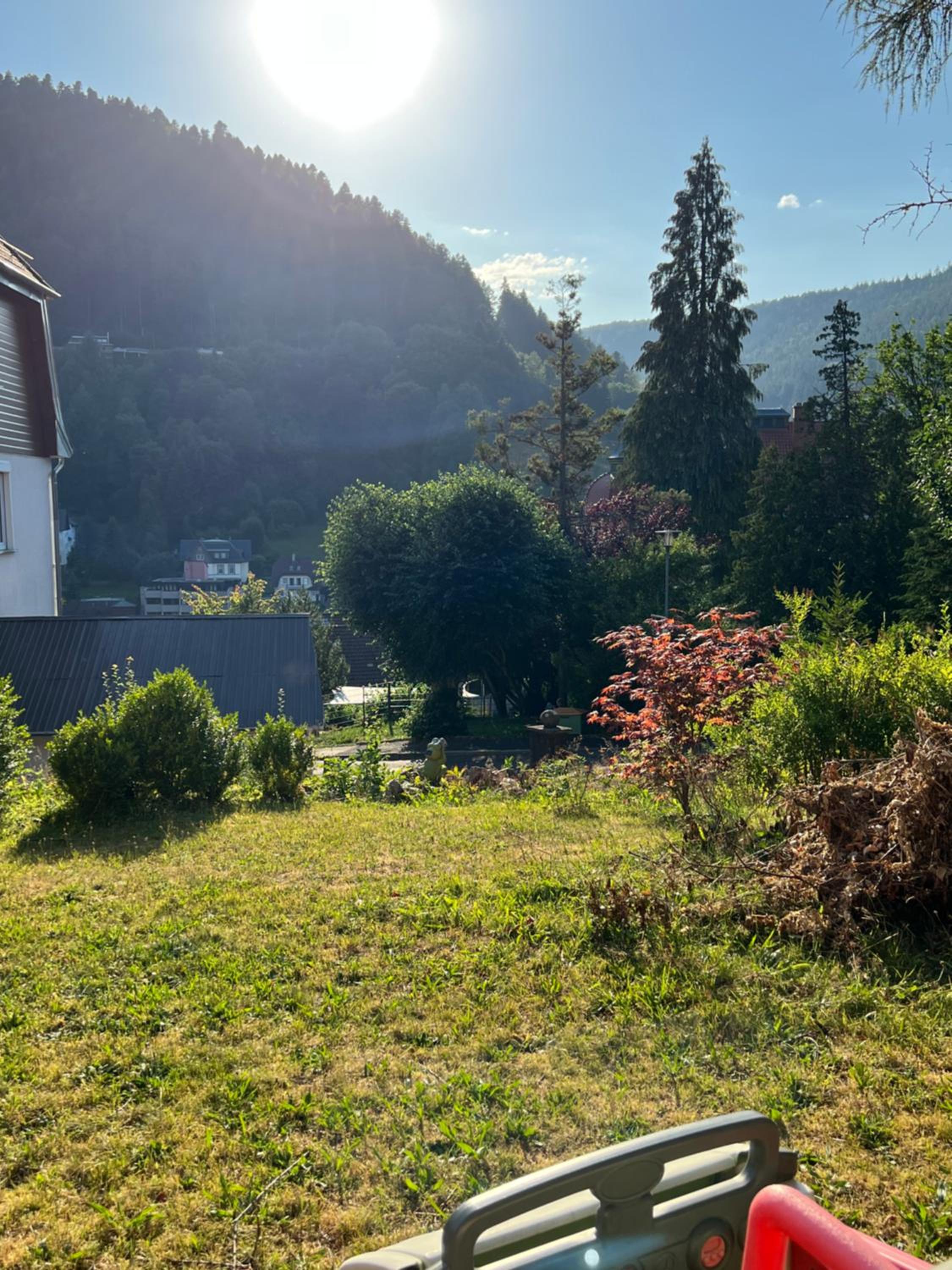 Viva la Wildbad