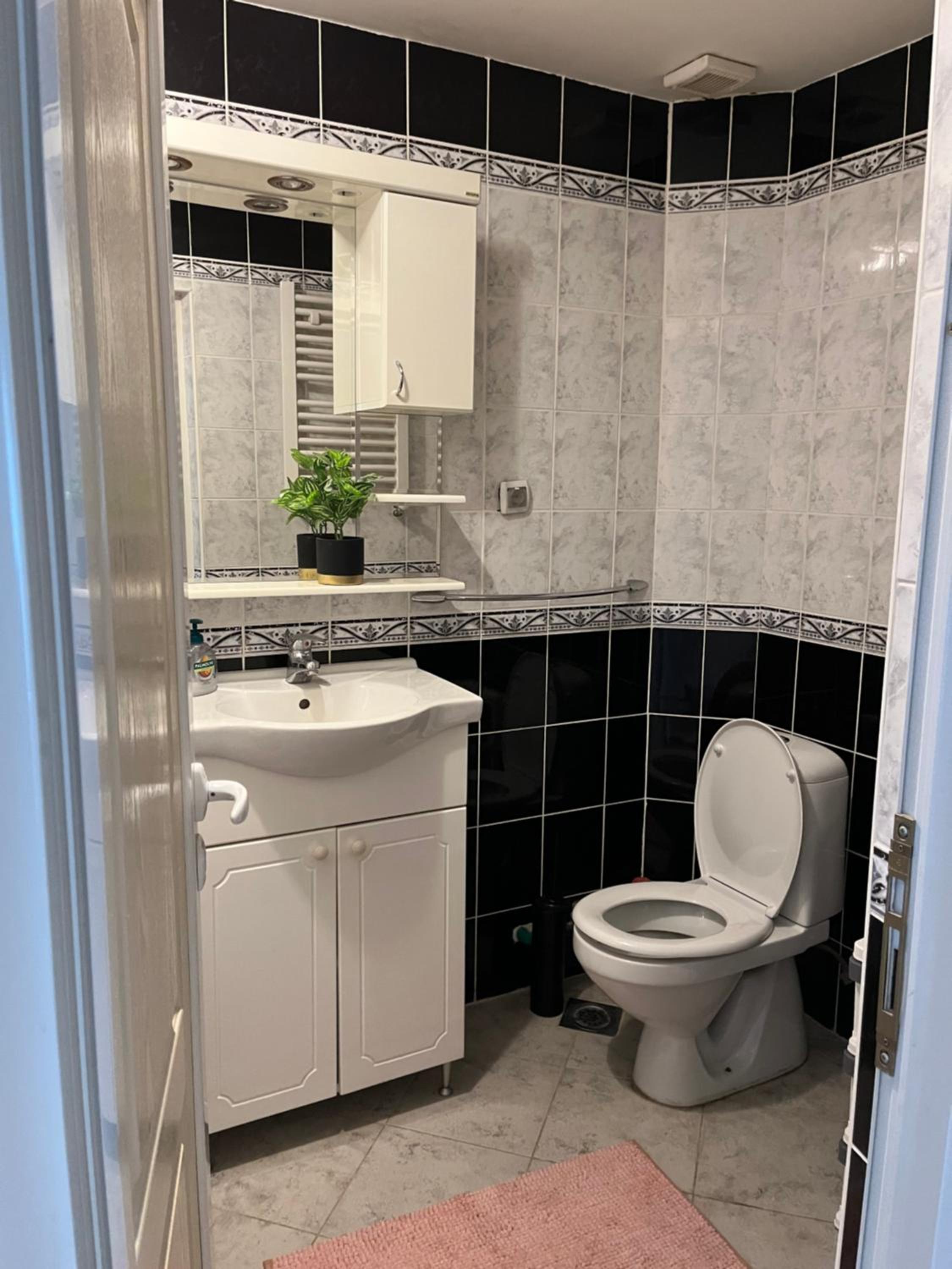 Luxury Apartment