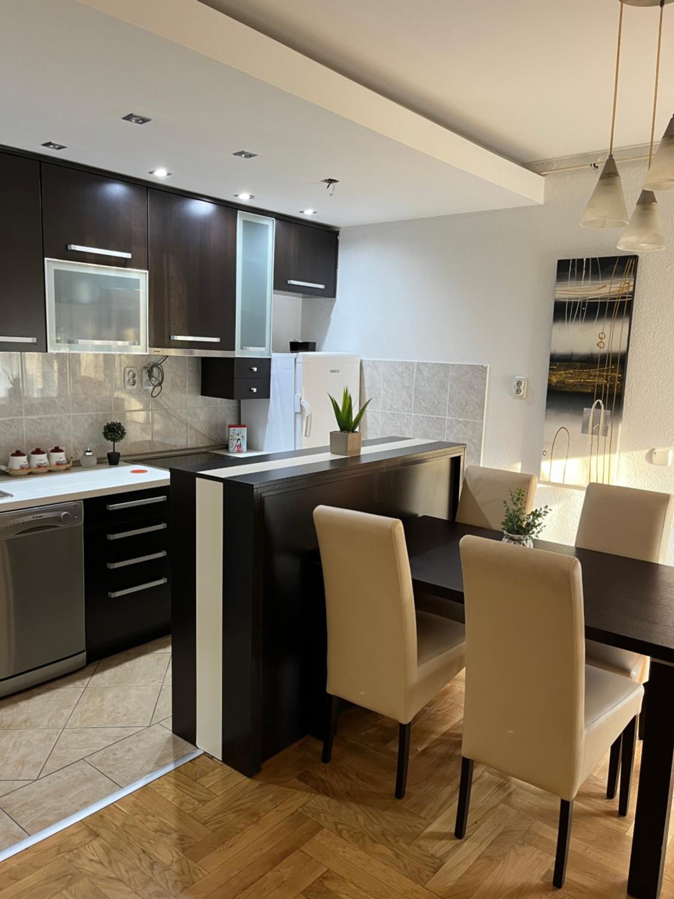 Luxury Apartment