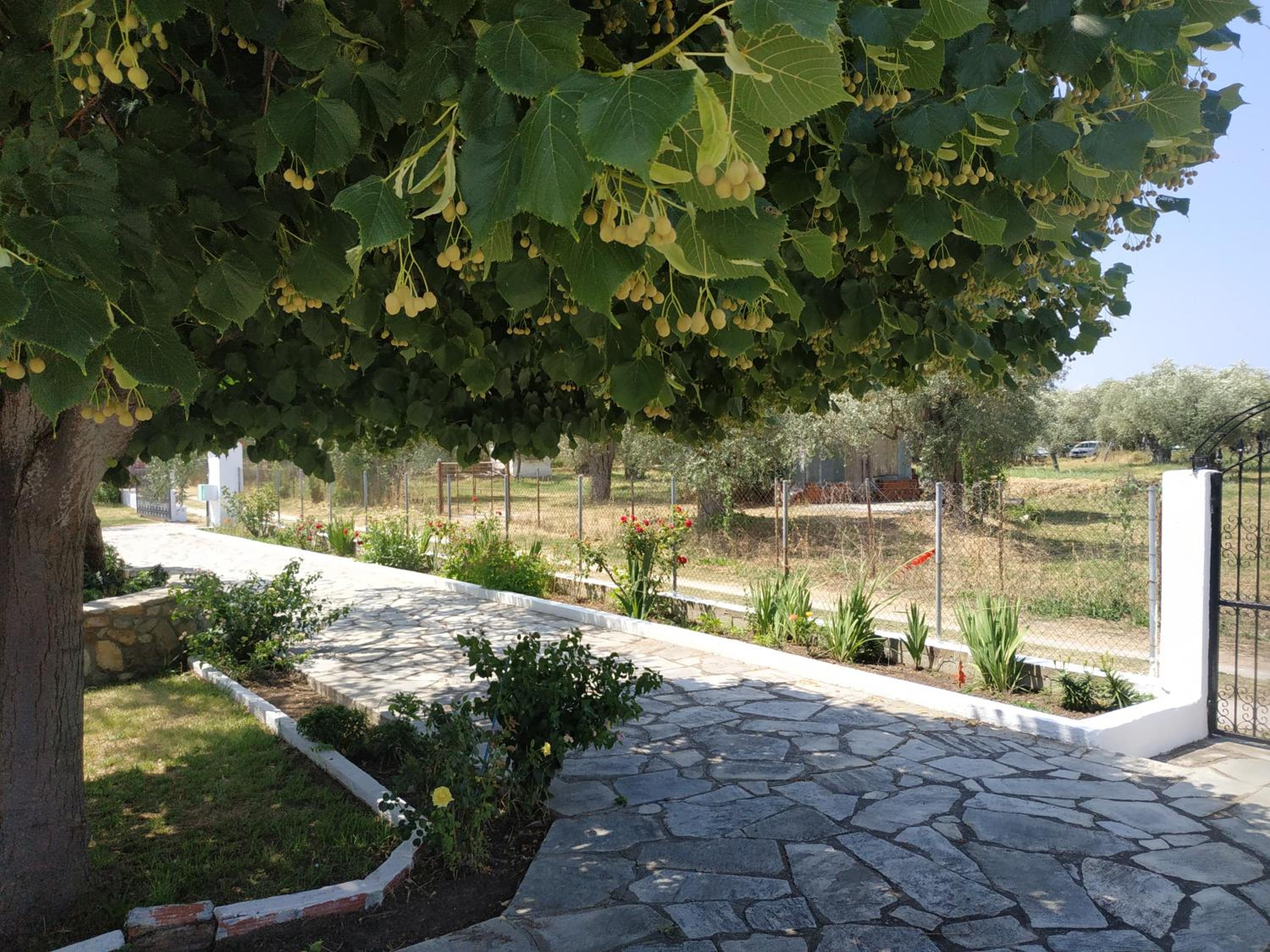 Photo 24