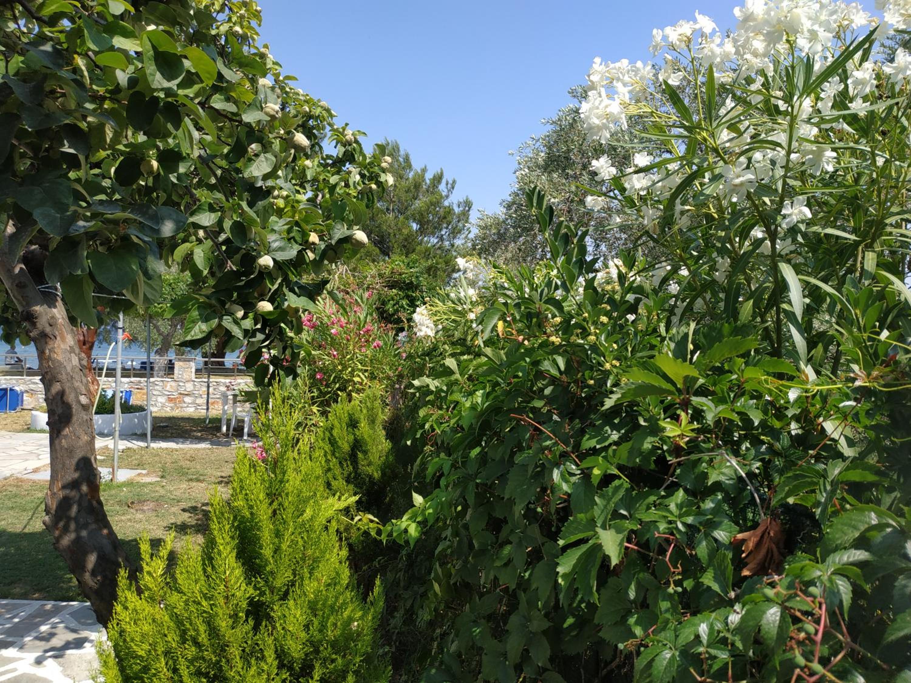 Photo 22