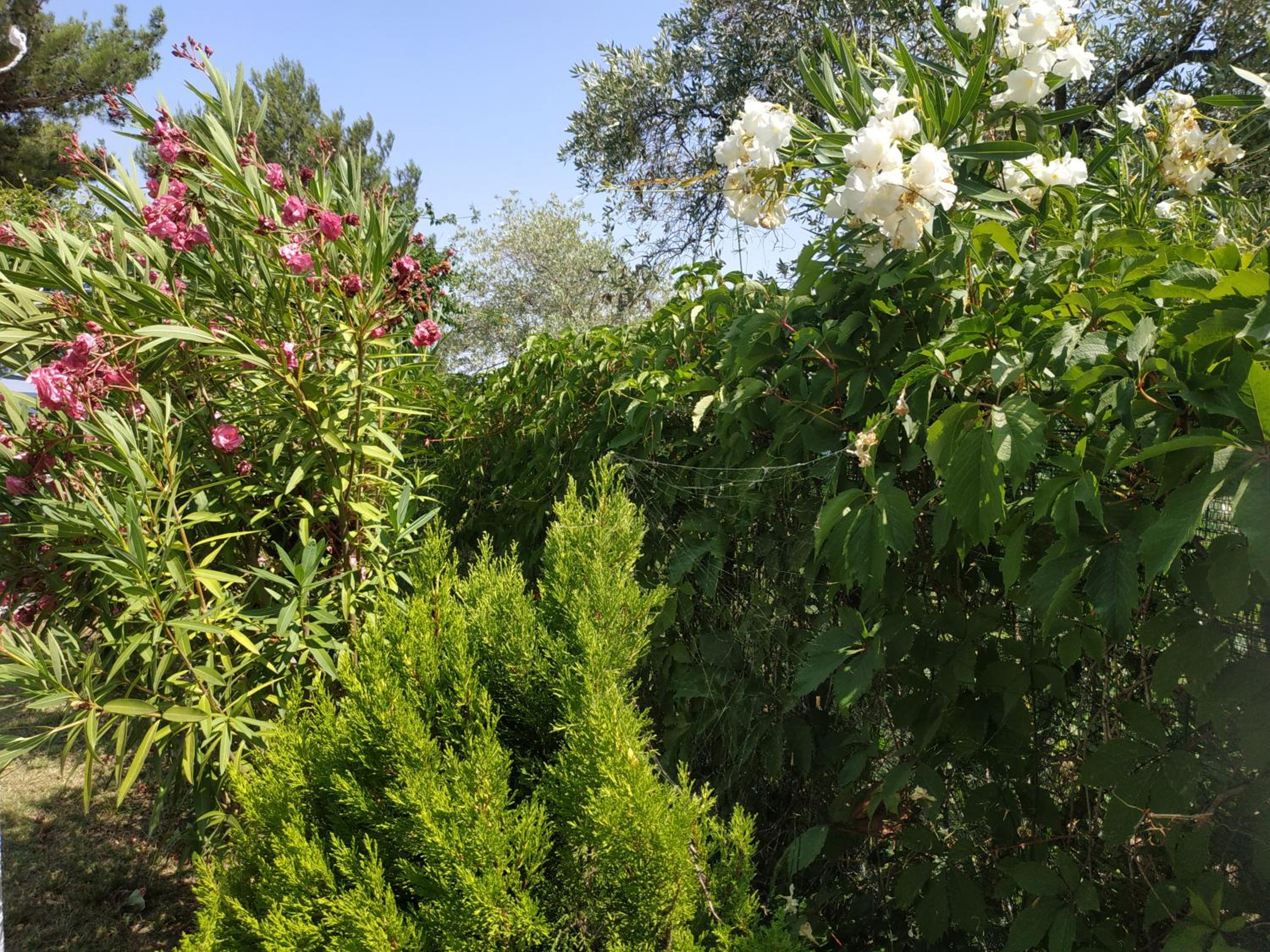 Photo 20