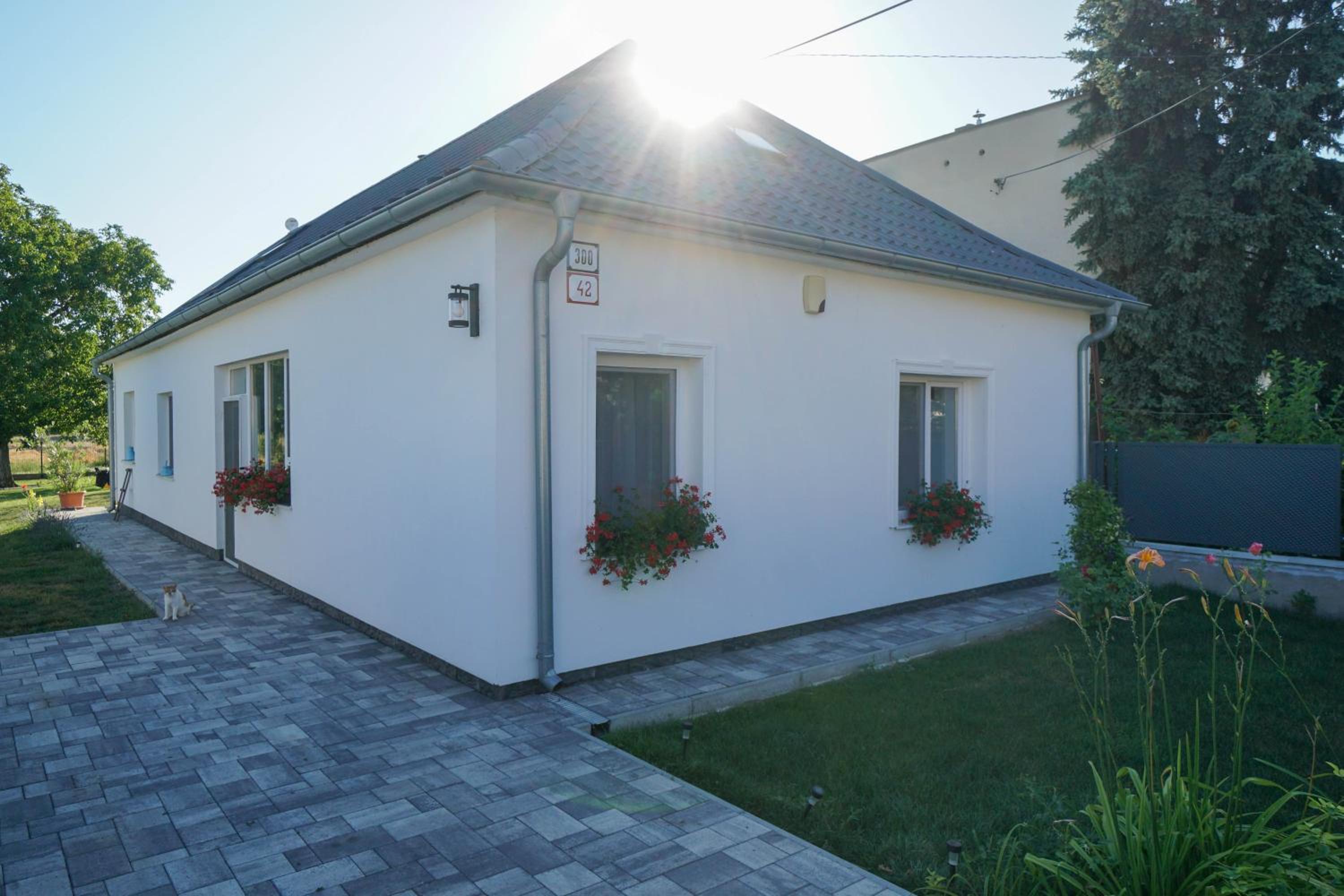 Photo 46