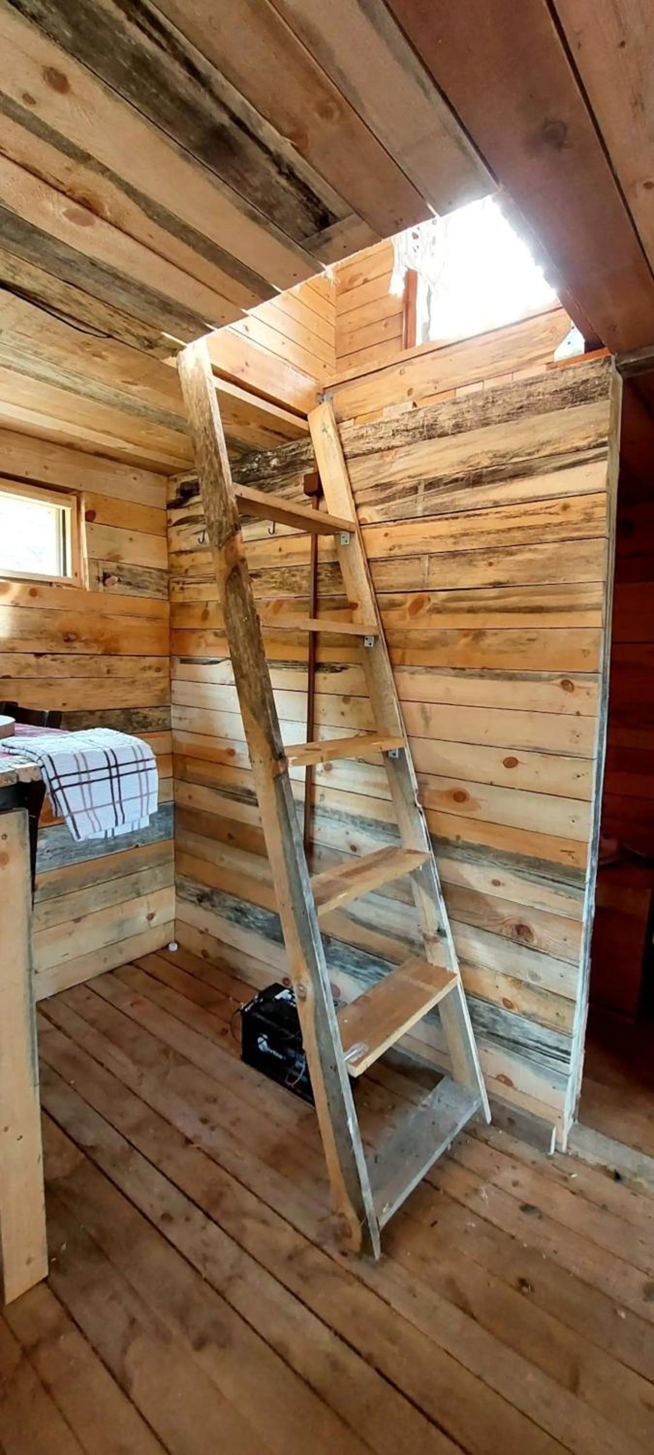 Unique off-grid cabin in raw nature: Bucephalus