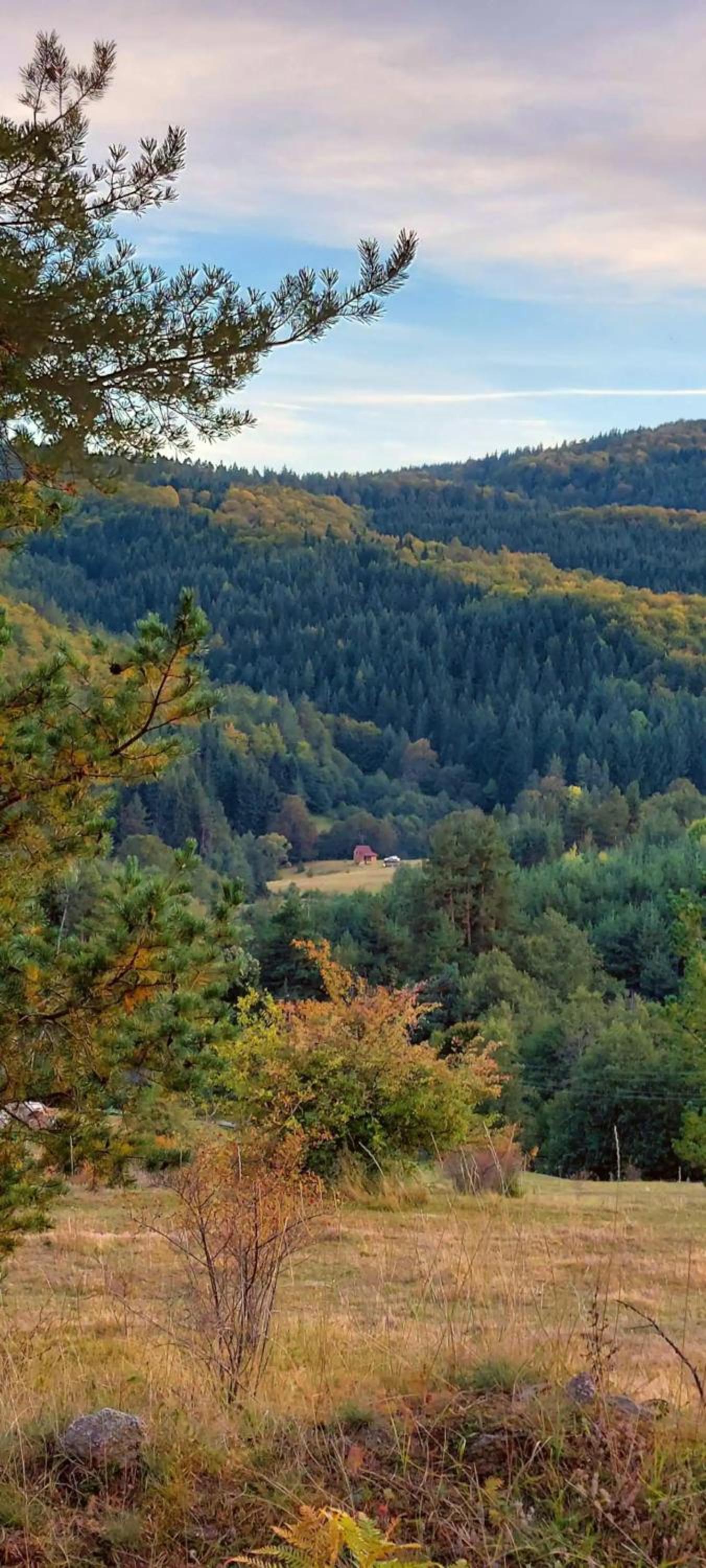 Unique off-grid cabin in raw nature: Bucephalus