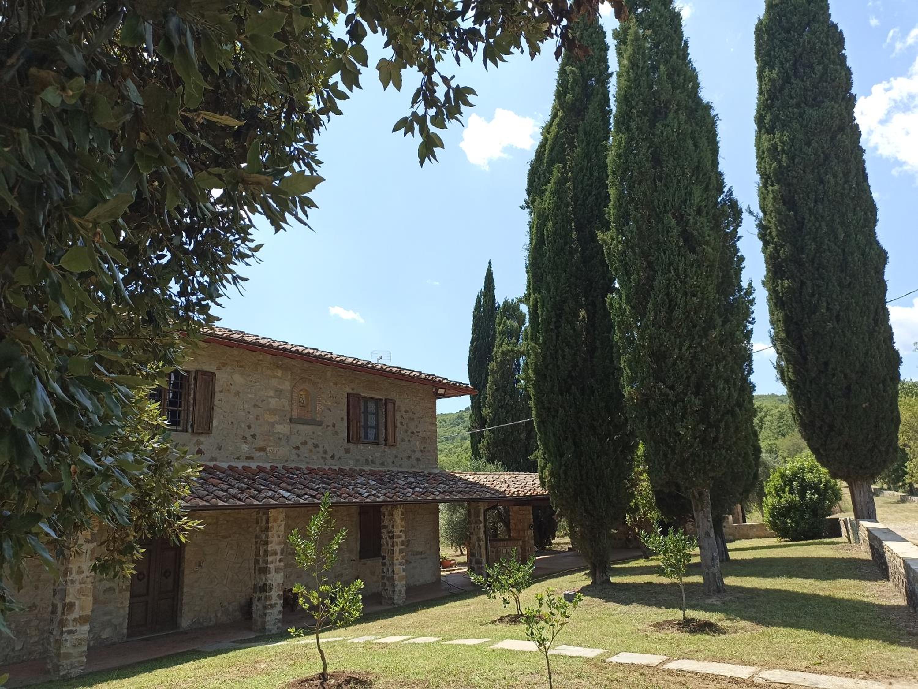 villa I Lecci nel chianti view 5