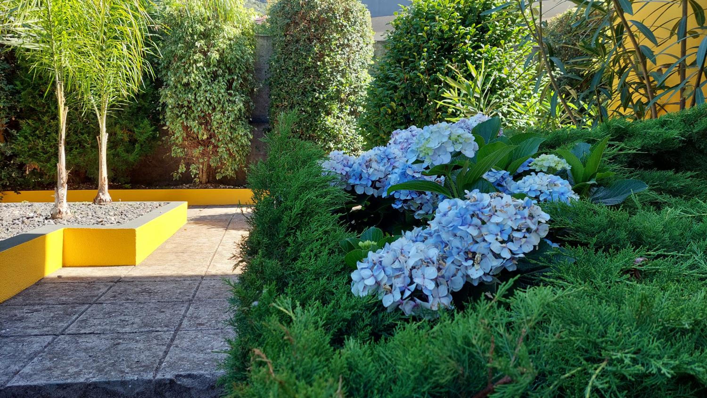 Villa Strelitzia