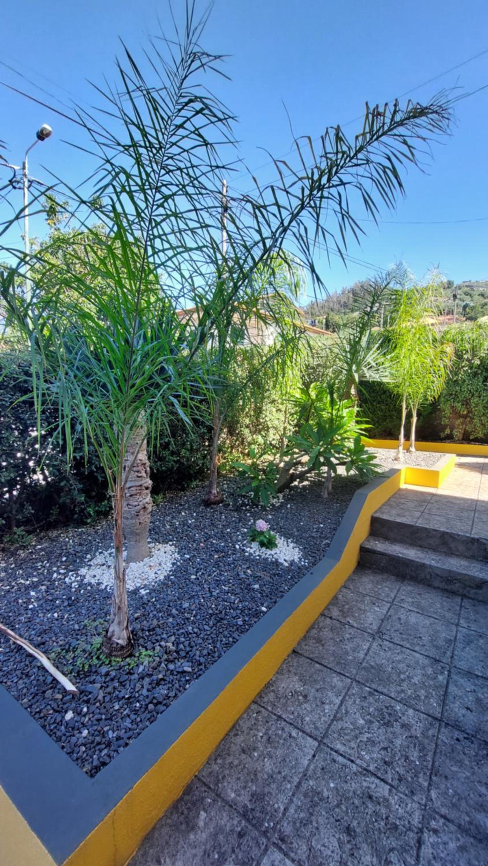 Villa Strelitzia