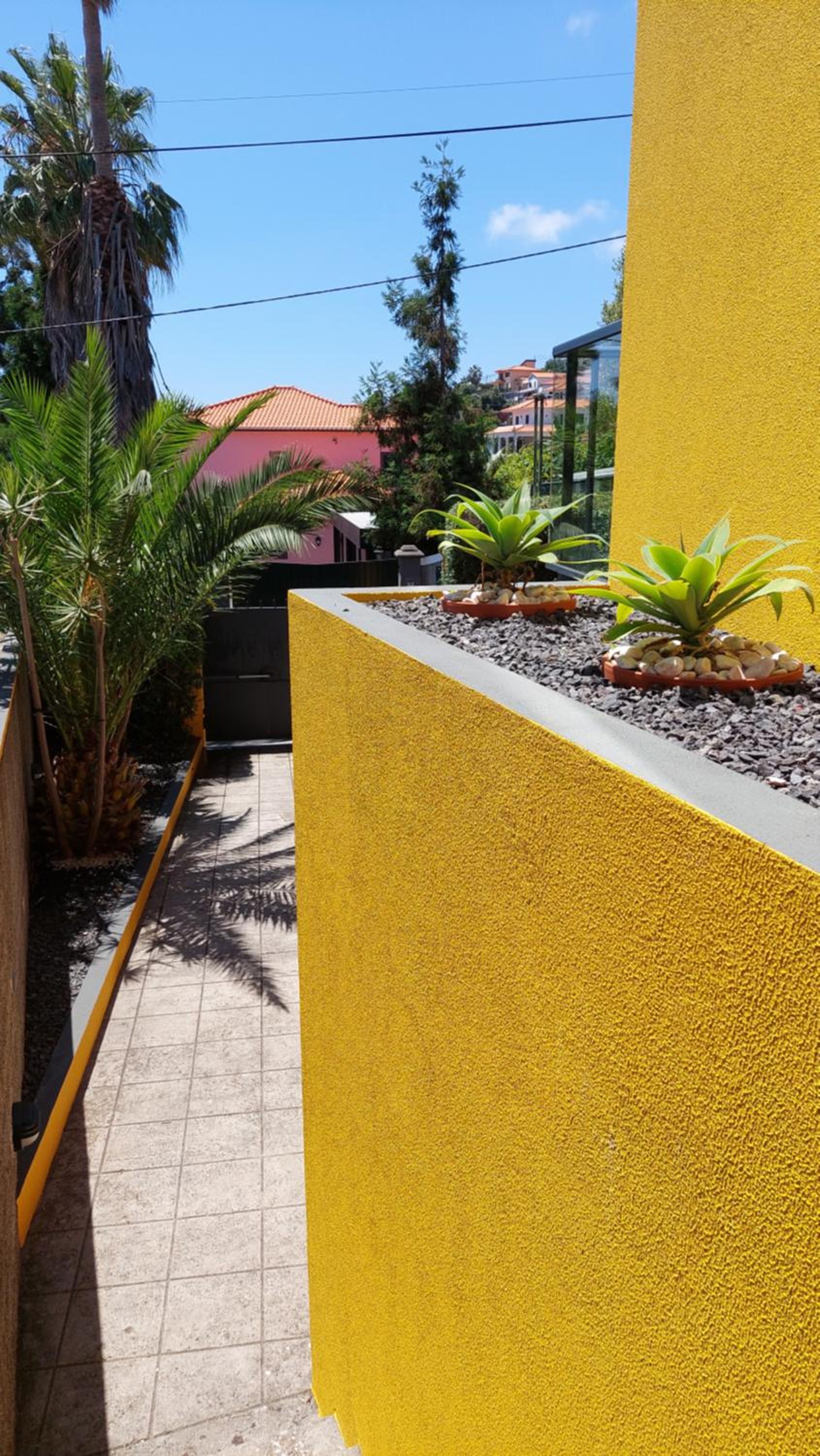 Villa Strelitzia