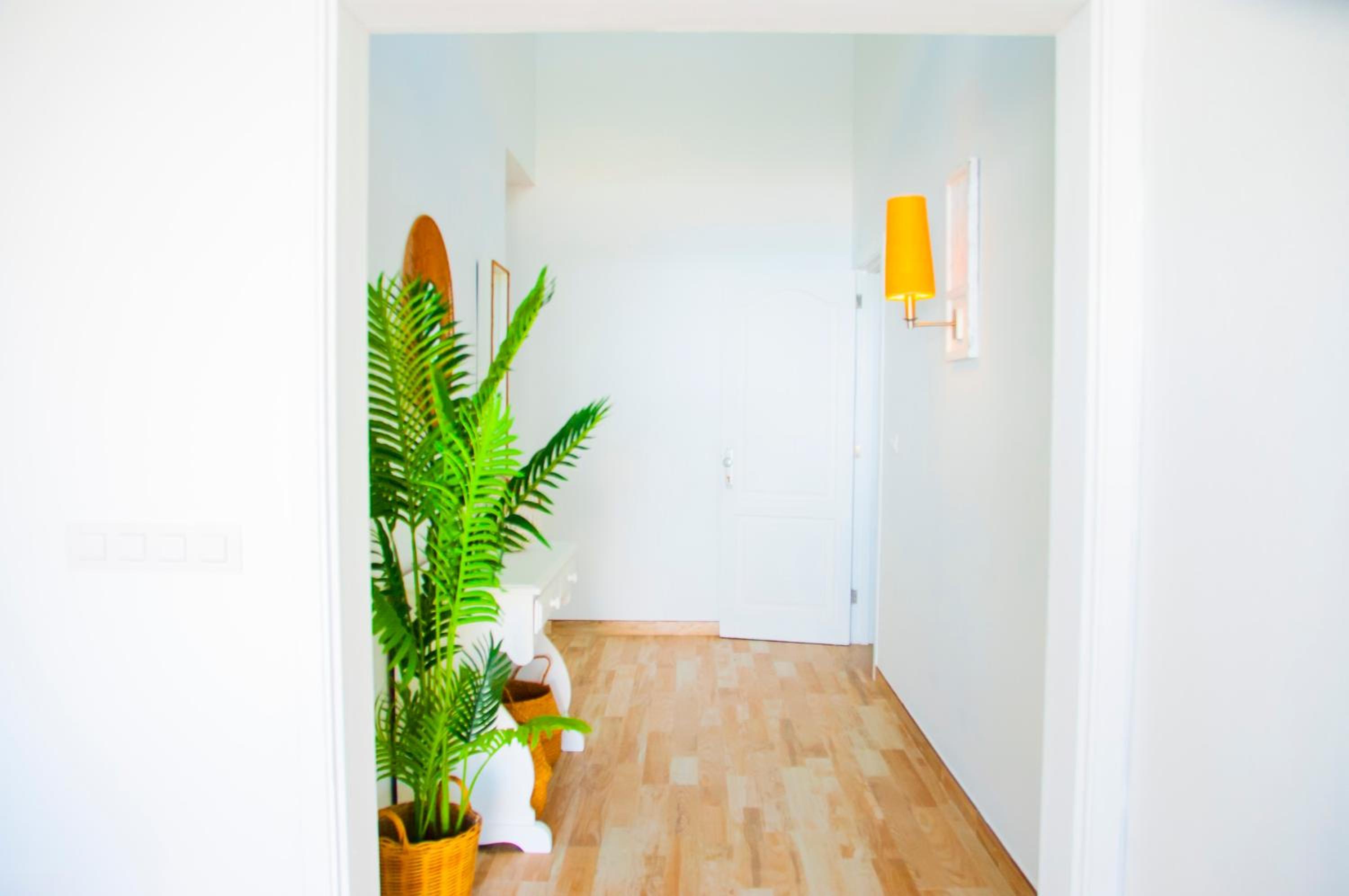 Vibesol Beach Apartament