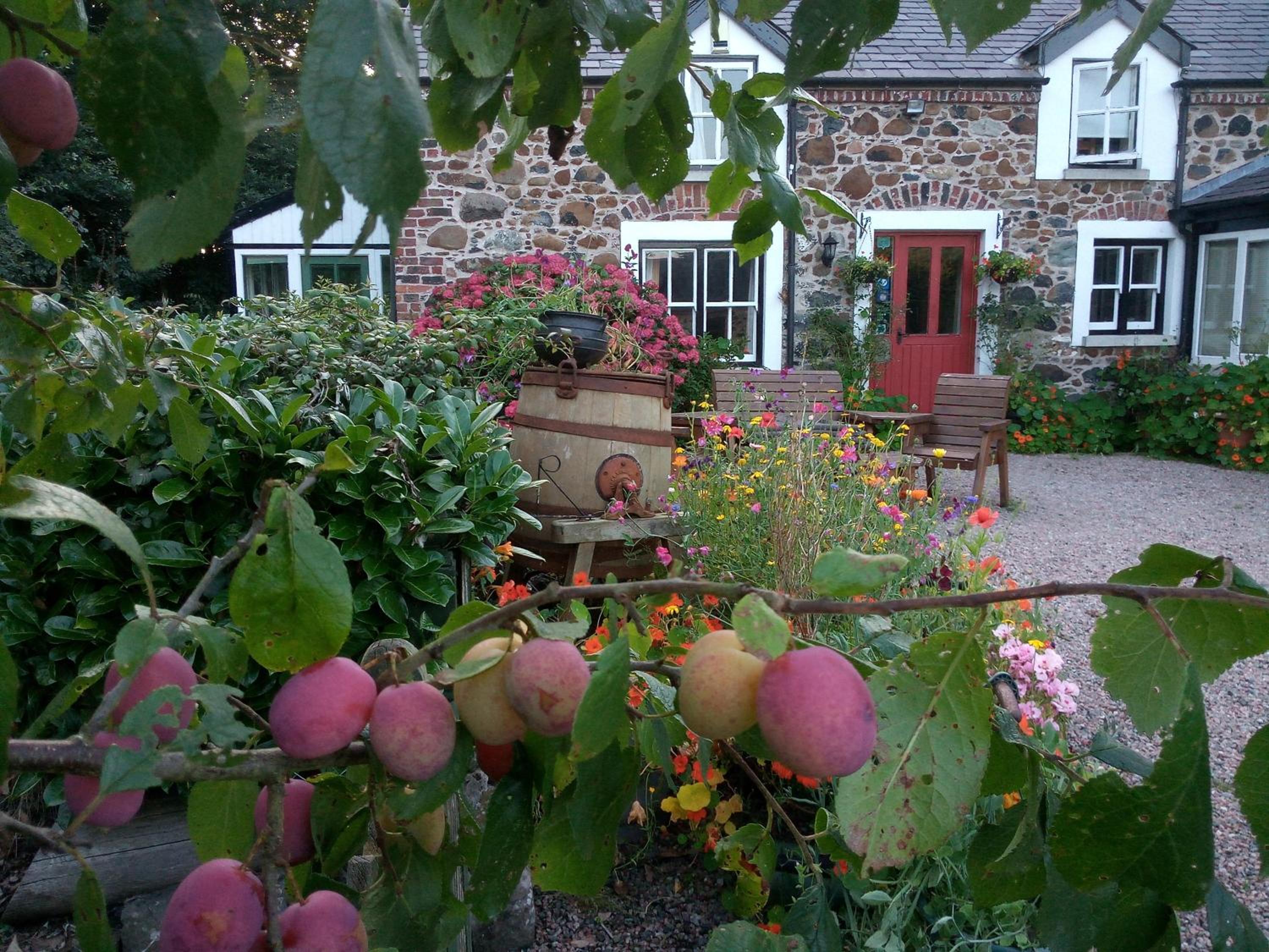 Moira Cottages at Berwickhall Sleeps 8