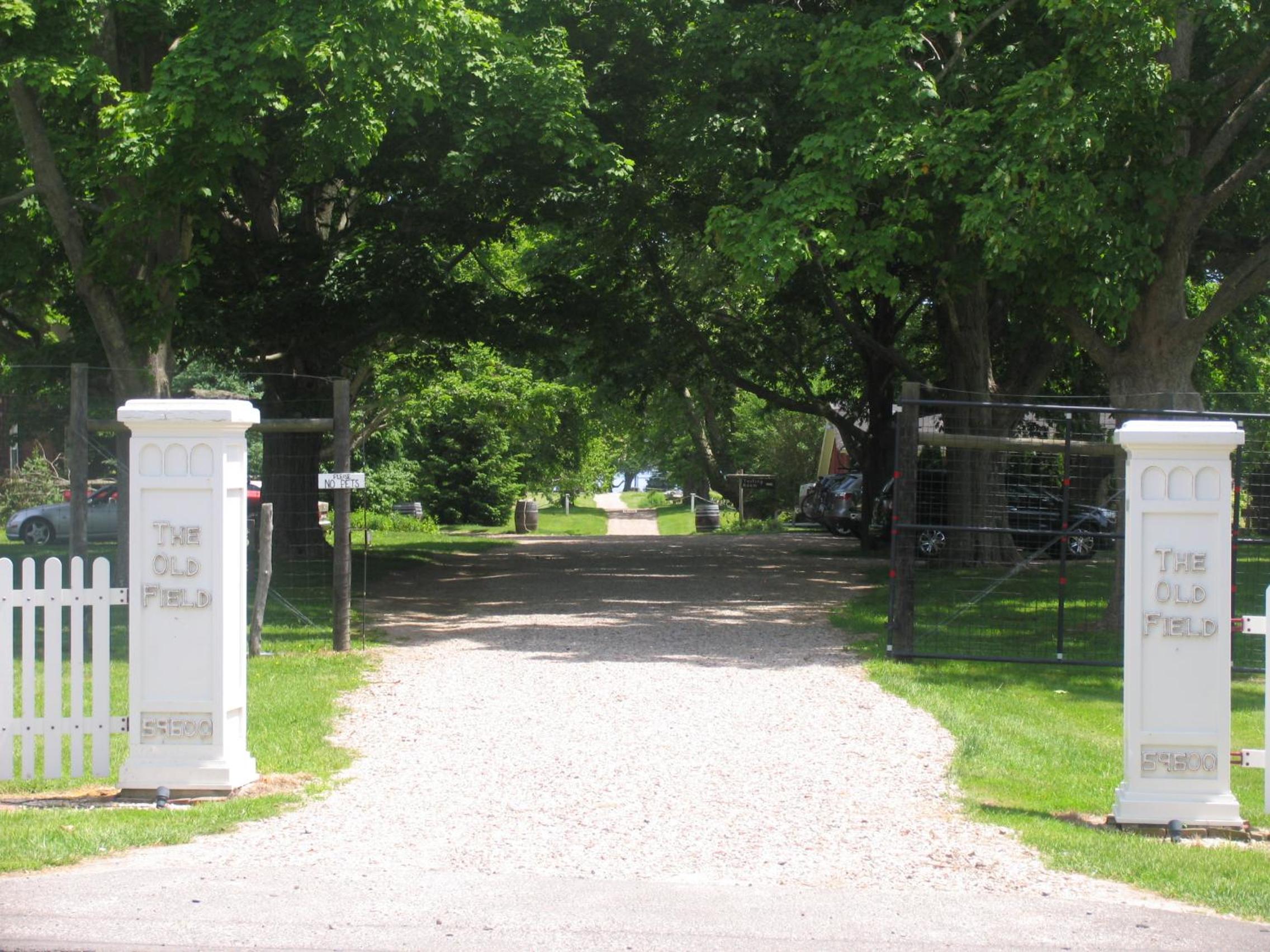 Arbor View House Bed and Breakfast