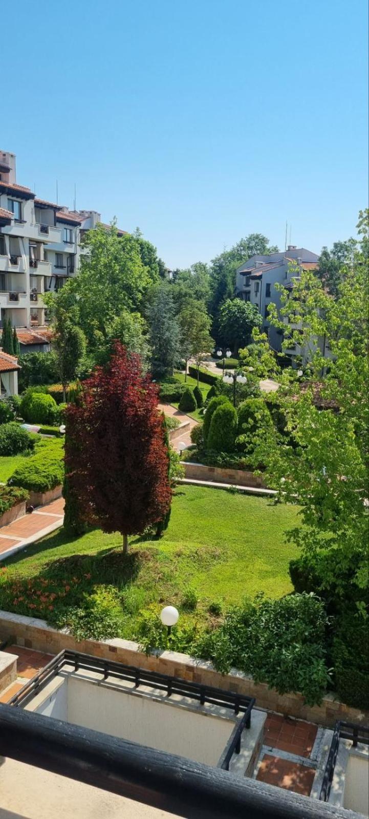 Oazis resort lux vip apartament