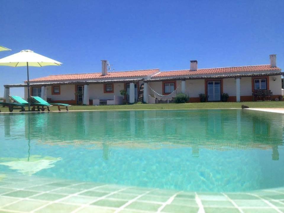 Photo 46