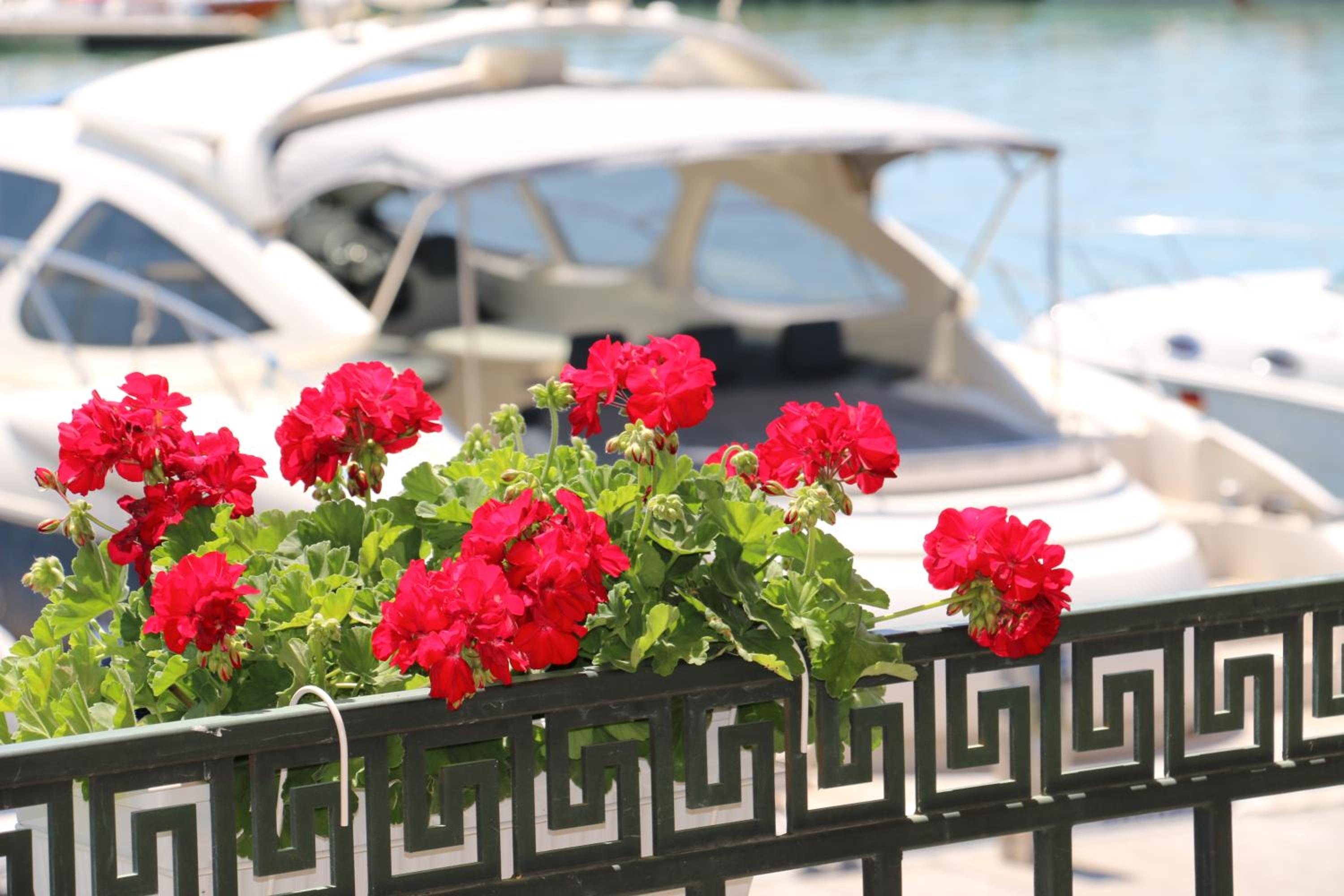 Balchik Vacations - Hotel Mistral - Property Image 46