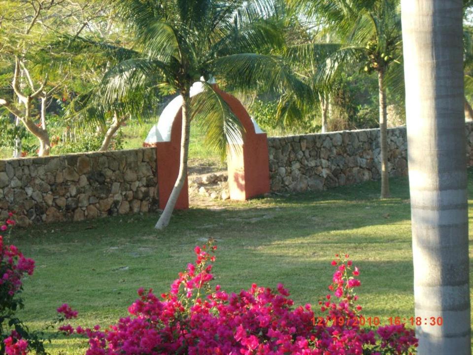 Hacienda San Jose Poniente view 3