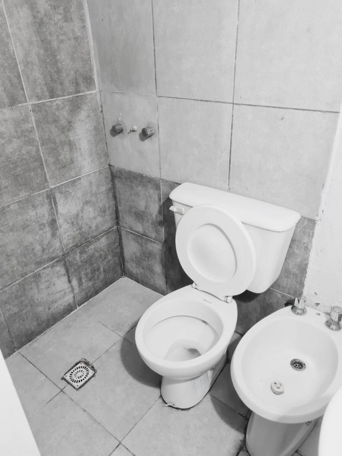 Departamento trebol