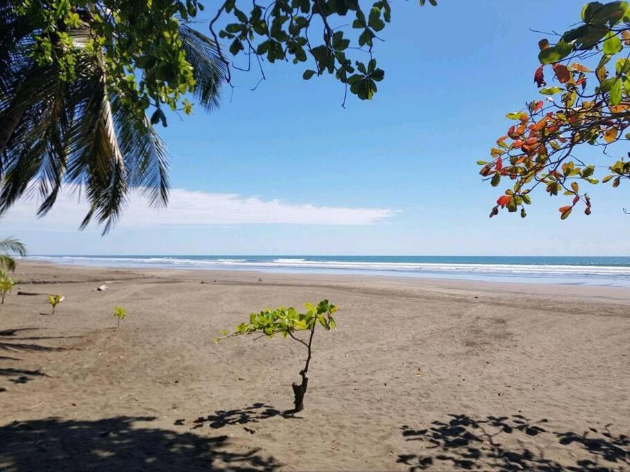 Condo Jaco bejuco frente al mar y casa con piscina