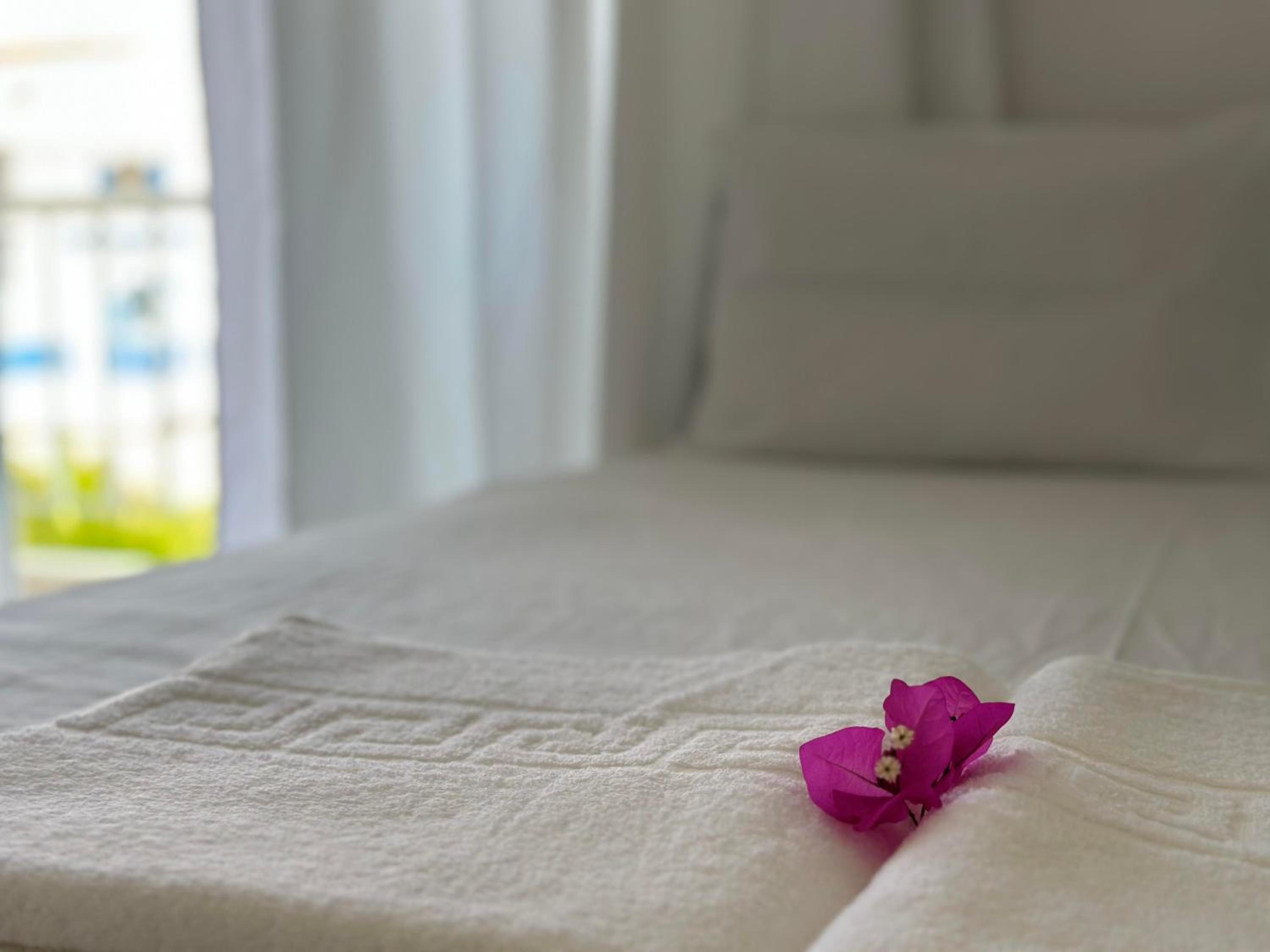 Sea View Studio Apartment Kos Island Center photo 3