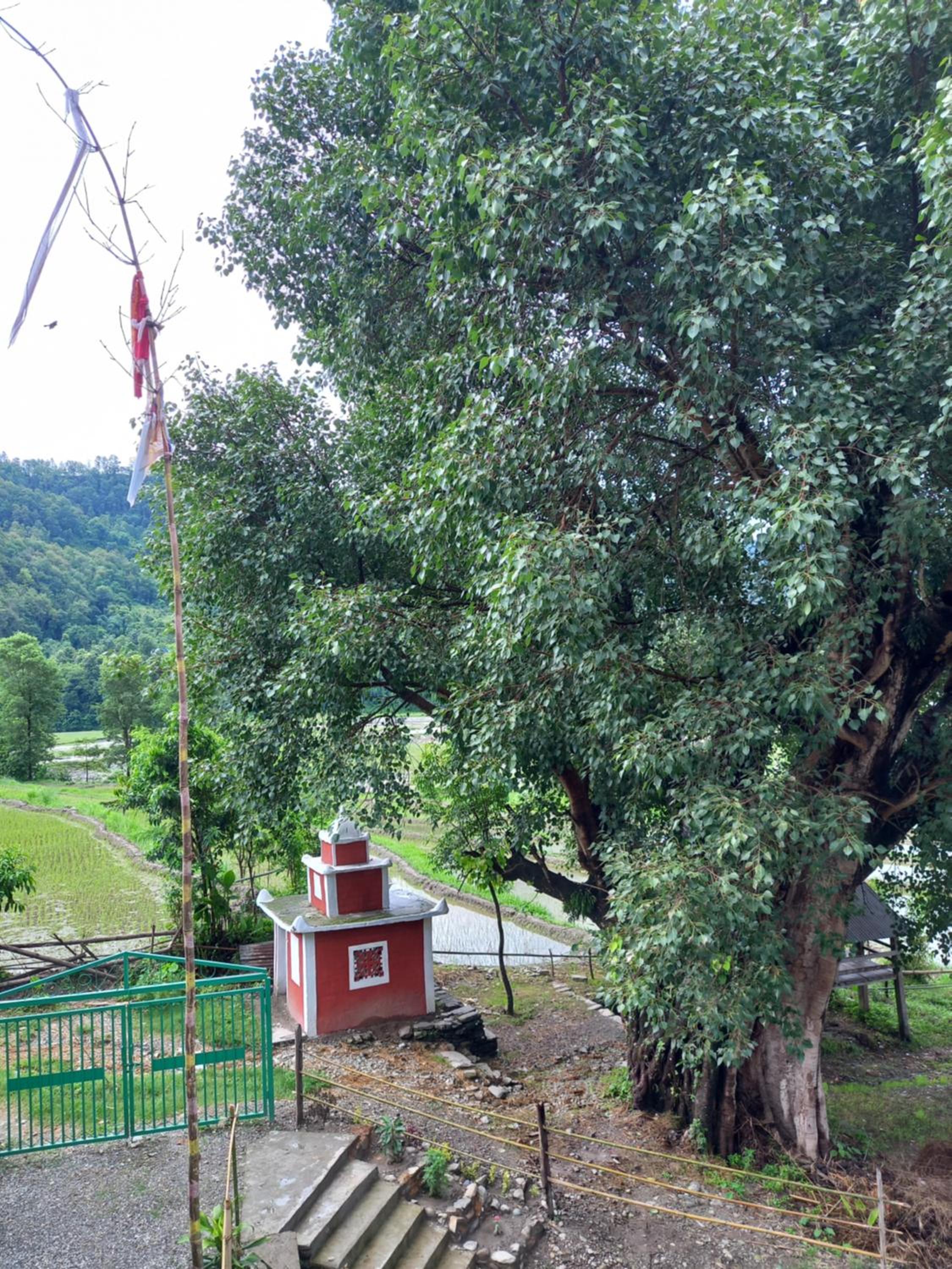 Riverside Homes