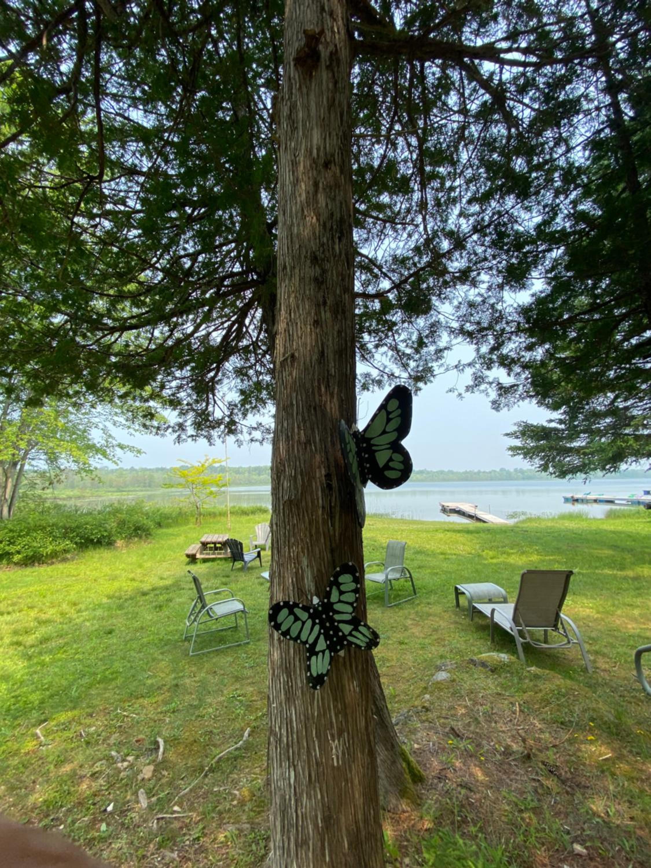 Lovely waterfront private cottage with hot tub in Kawartha Lakes