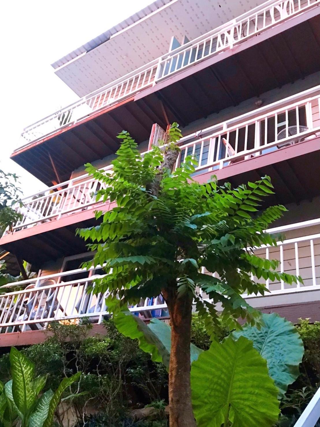 Blue View House Phi Phi