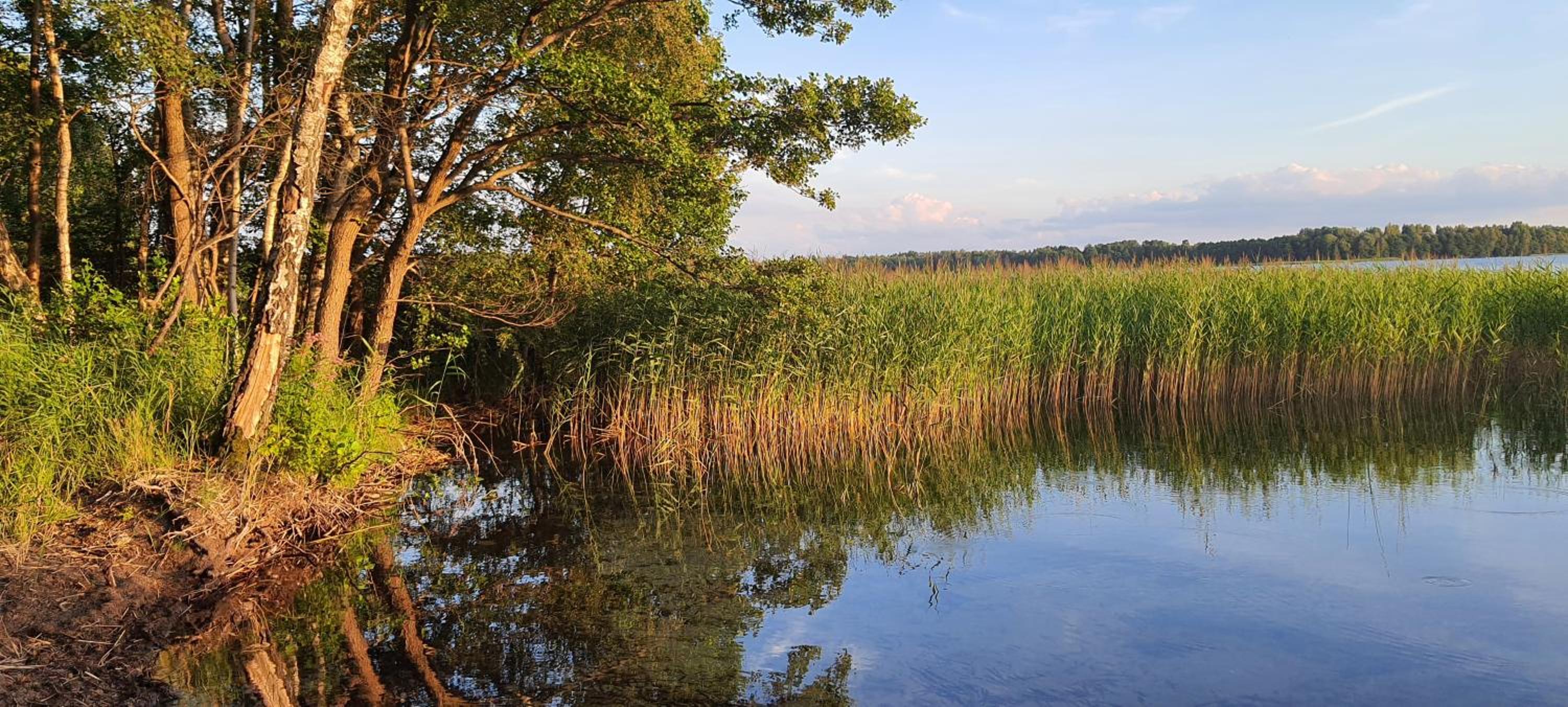 Domek Mazurski całoroczny nad jeziorem z sauną i Jacuzzi SPA