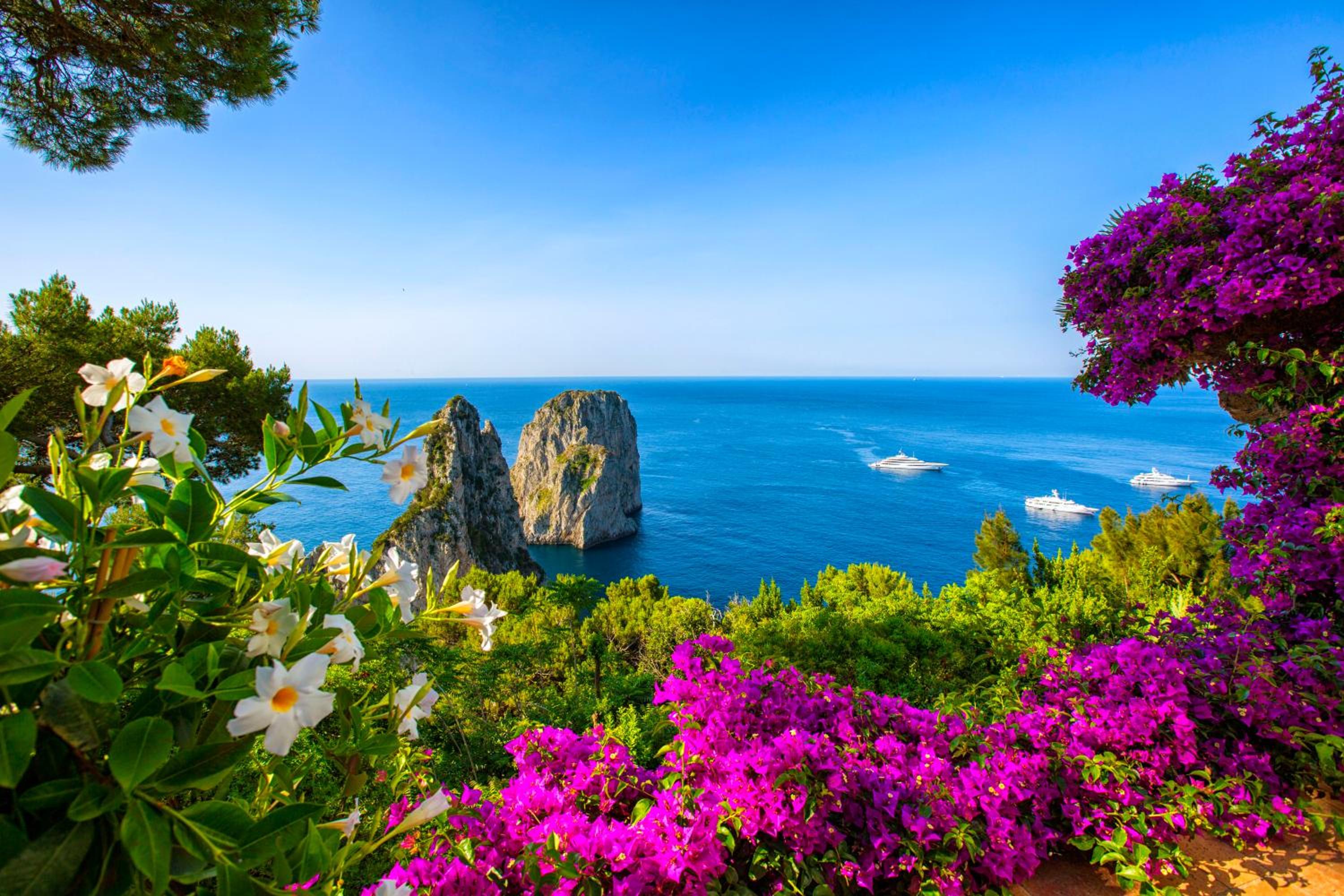 Faraglionensis MonaconeHouse Apartment