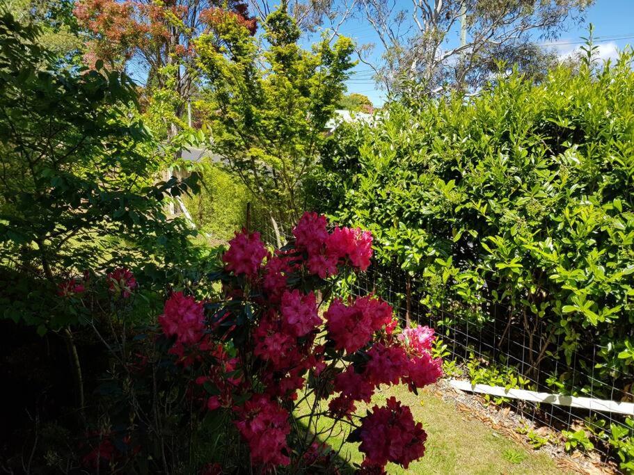 Temora House- classic, pet friendly, close to town