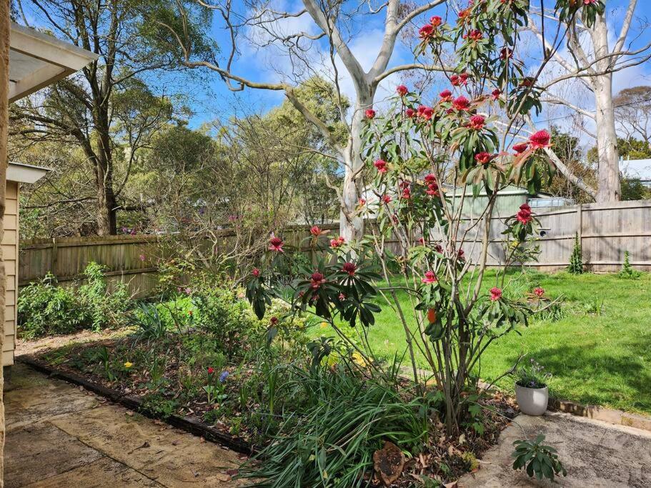 Temora House- classic, pet friendly, close to town