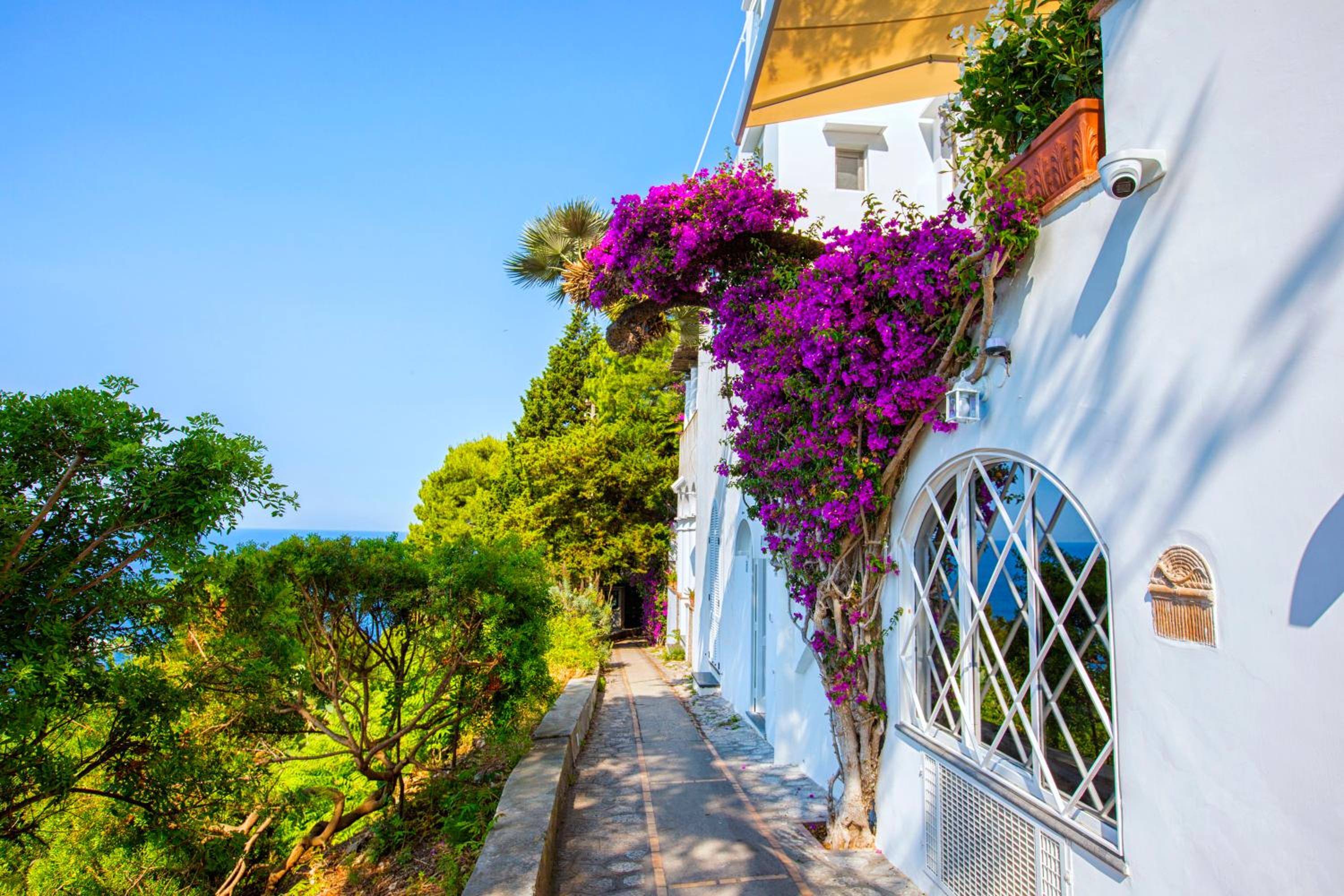Faraglionensis MonaconeHouse Apartment