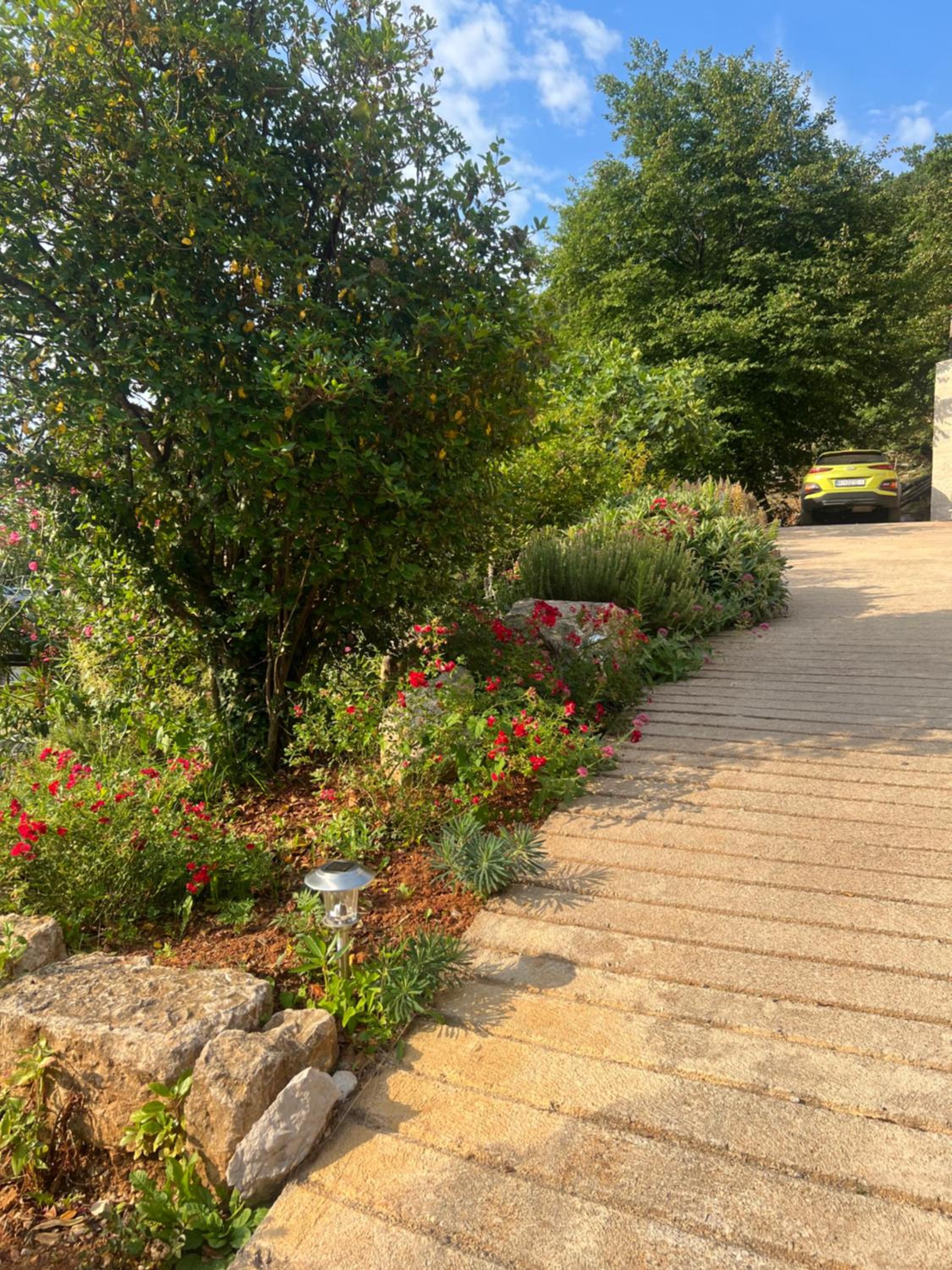 Photo 6