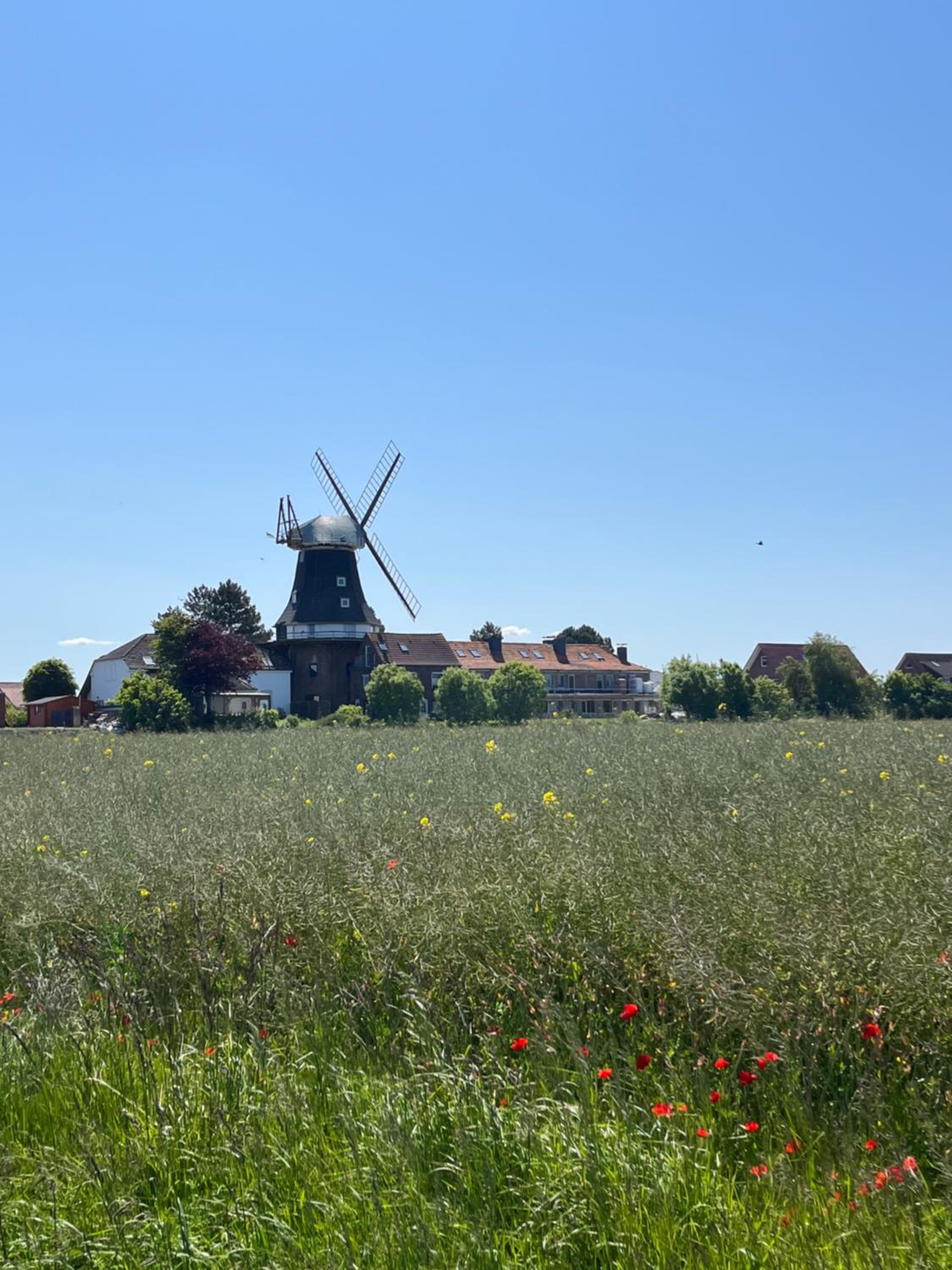 Nurdachhäuschen Blaue Nordseewelle