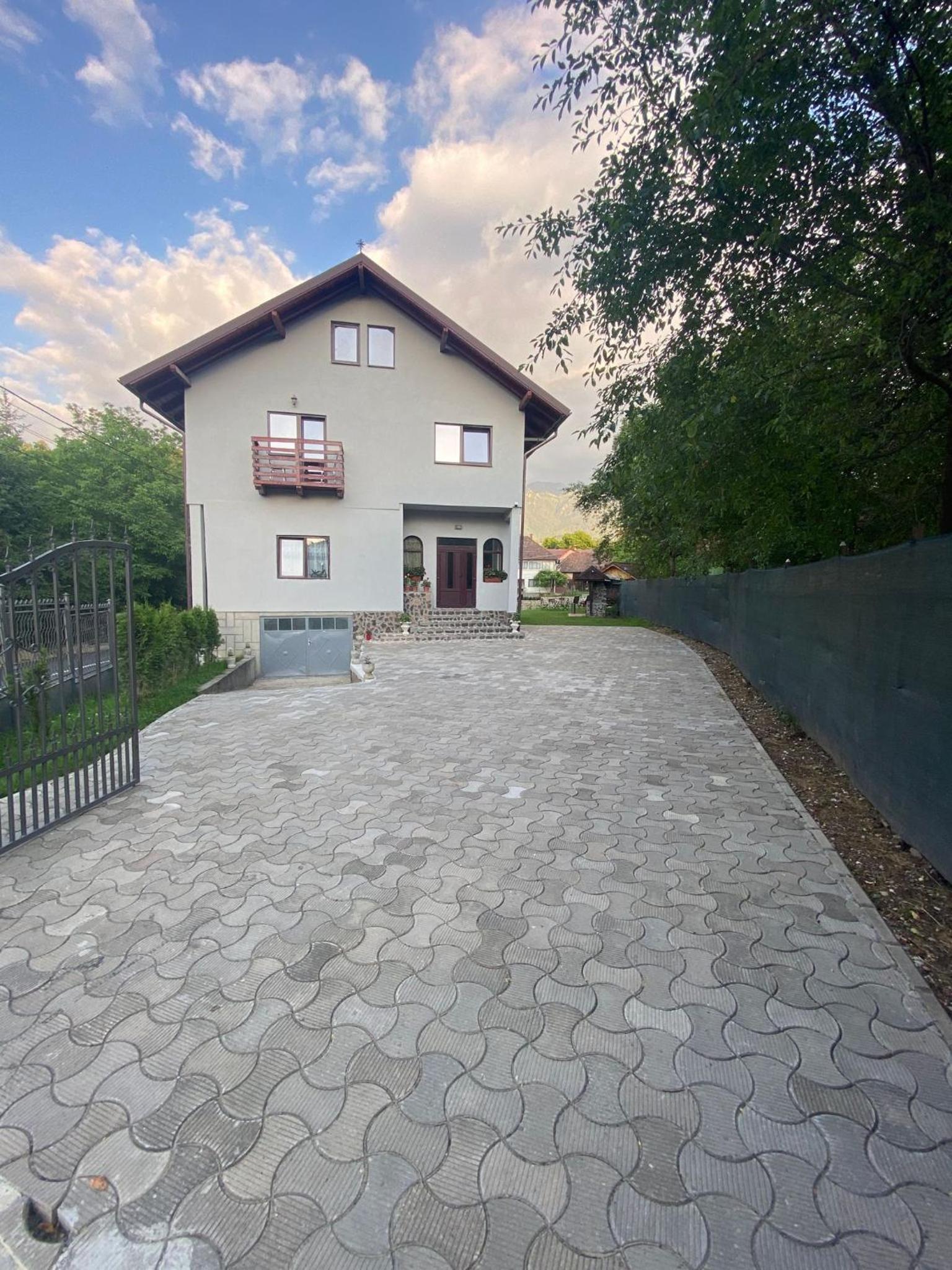Casa Moșoiu view 2