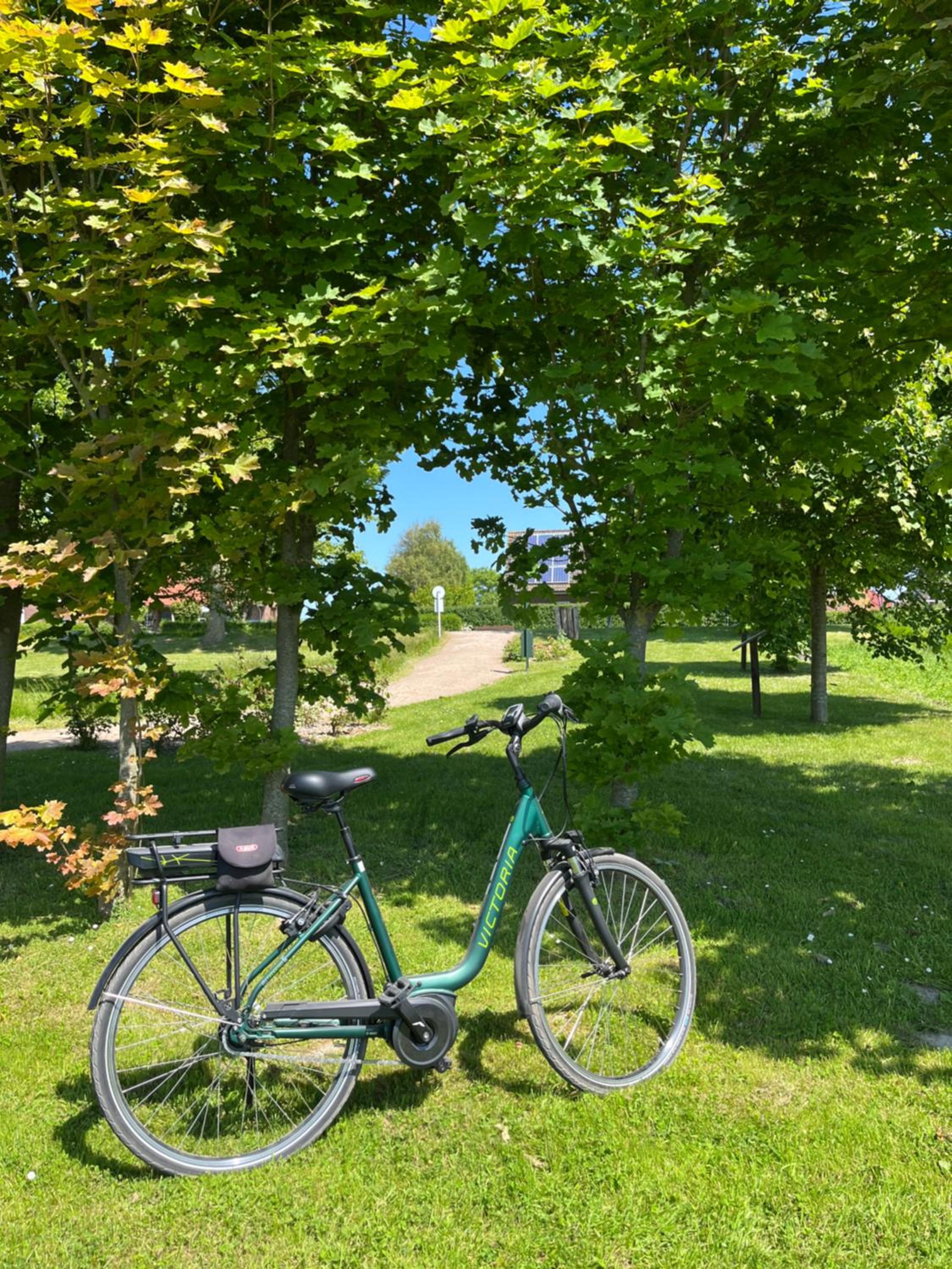 Nurdachhäuschen Blaue Nordseewelle