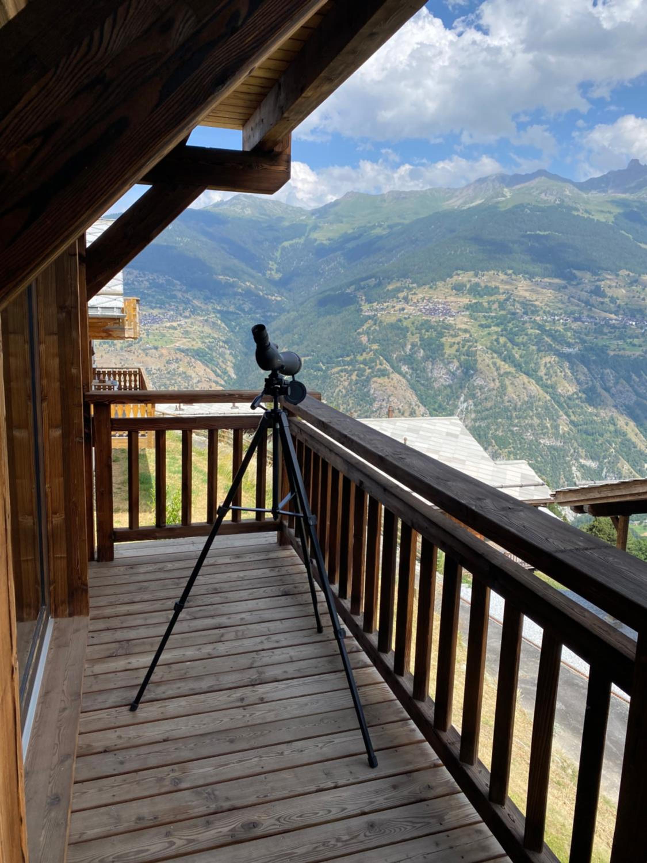 Chalet Mouflon